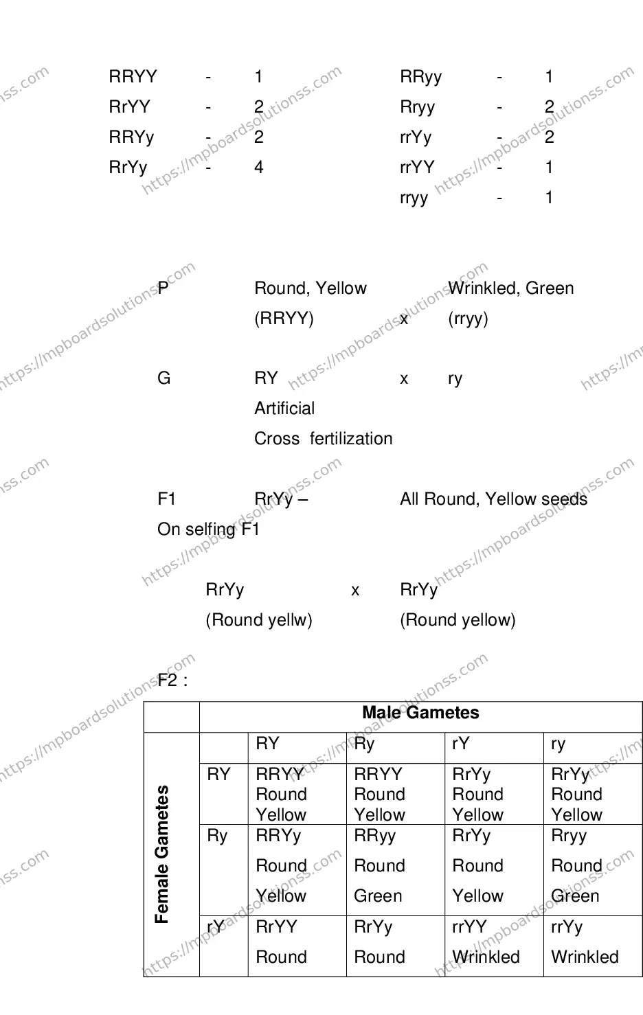 MP Board CLASS 11 BIOLOGY 2018 Sample Paper Image 49
