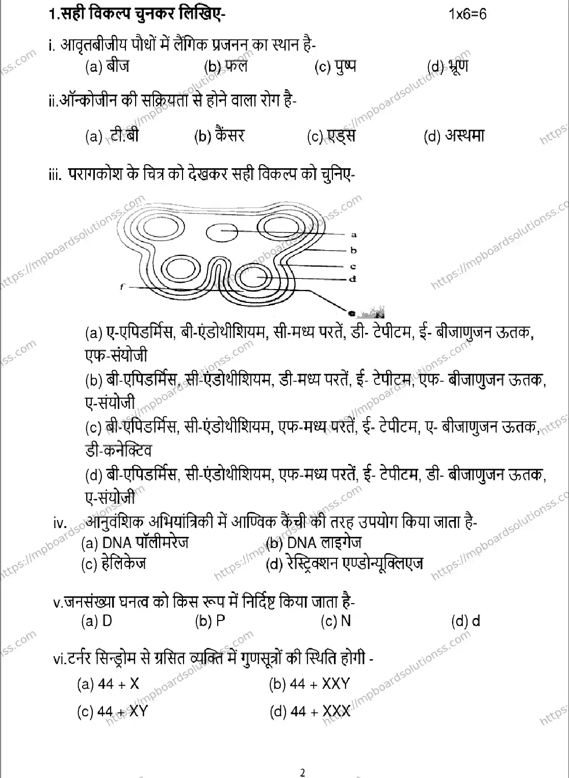 MP Board Class 12 Biology 2025 Sample Paper Image 2