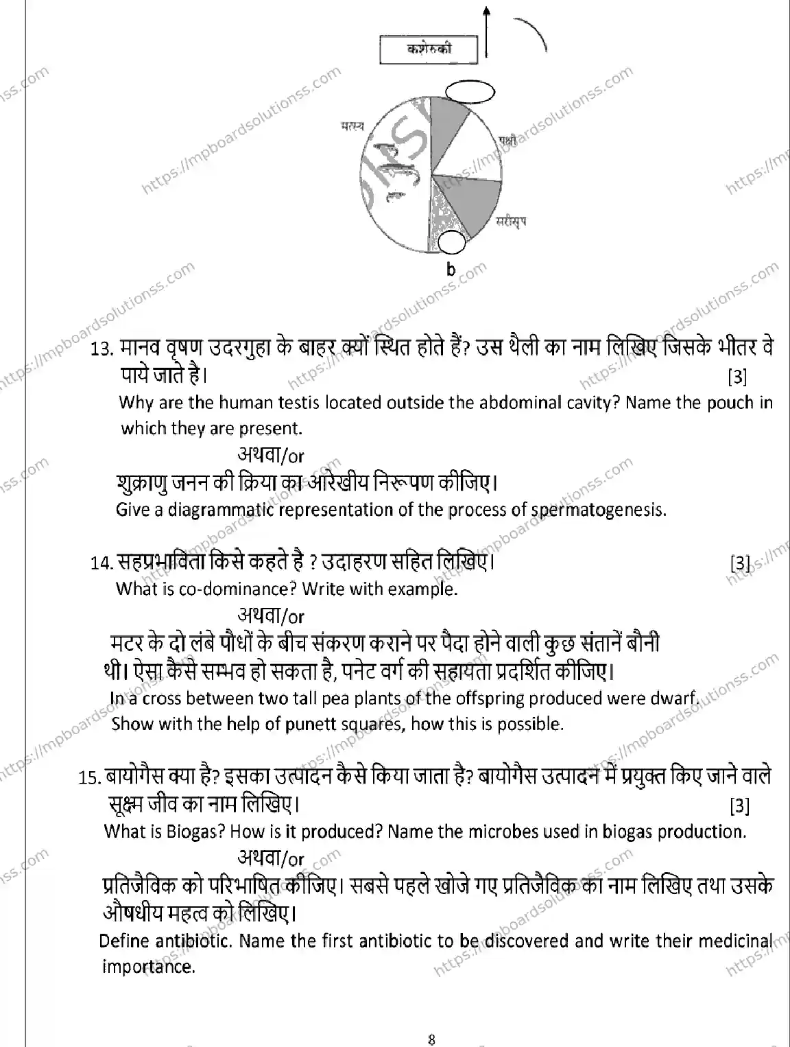 MP Board Class 12 Biology 2026 Sample Paper Image 8
