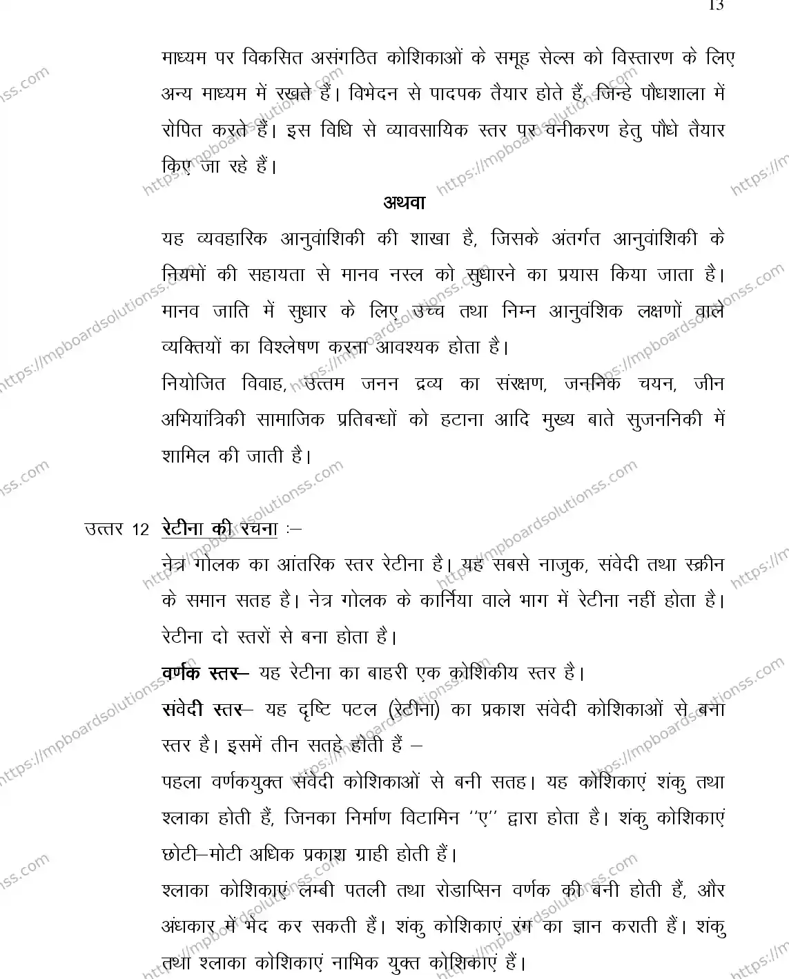 MP Board Class 12 BIOLOGY-356558 2018 Sample Paper Image 13