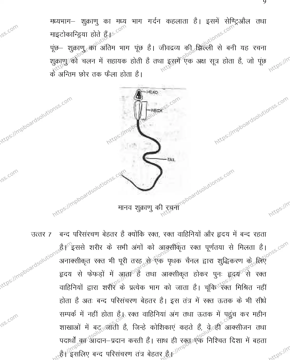 MP Board Class 12 BIOLOGY-356558 2018 Sample Paper Image 9