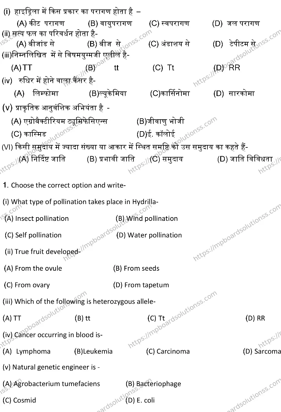 MP Board Class 12 BIOLOGY-SET-A 2024 Sample Paper Image 2