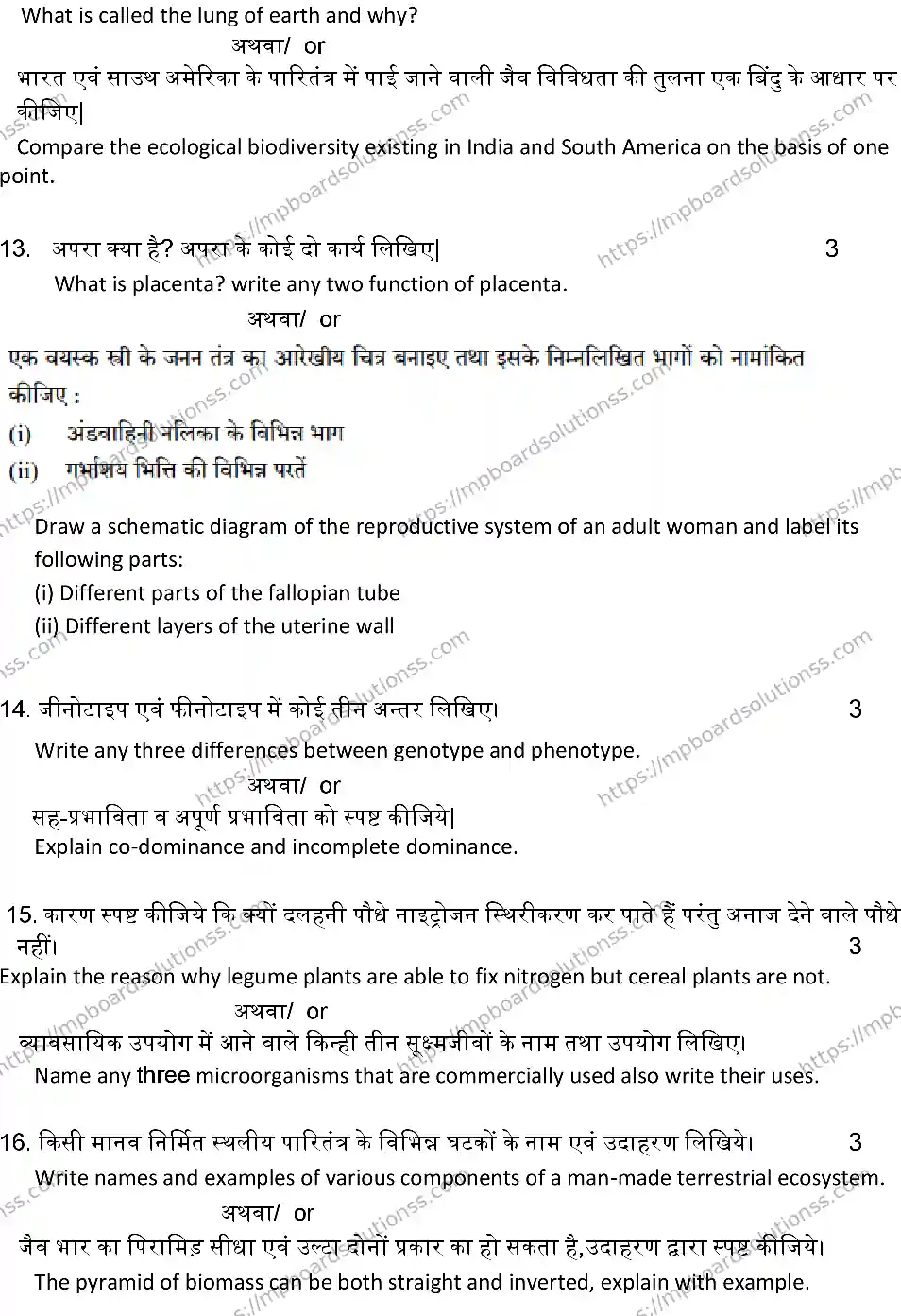 MP Board Class 12 BIOLOGY-SET-A 2024 Sample Paper Image 6