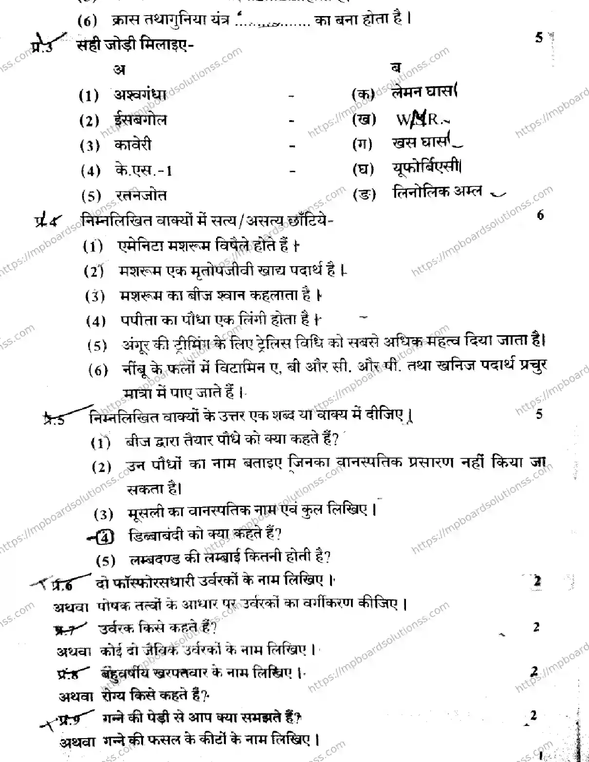 MP Board Class 12 CROP-PRODUCTION-AND-HORTICULTURE-101125 2023 Sample Paper Image 2