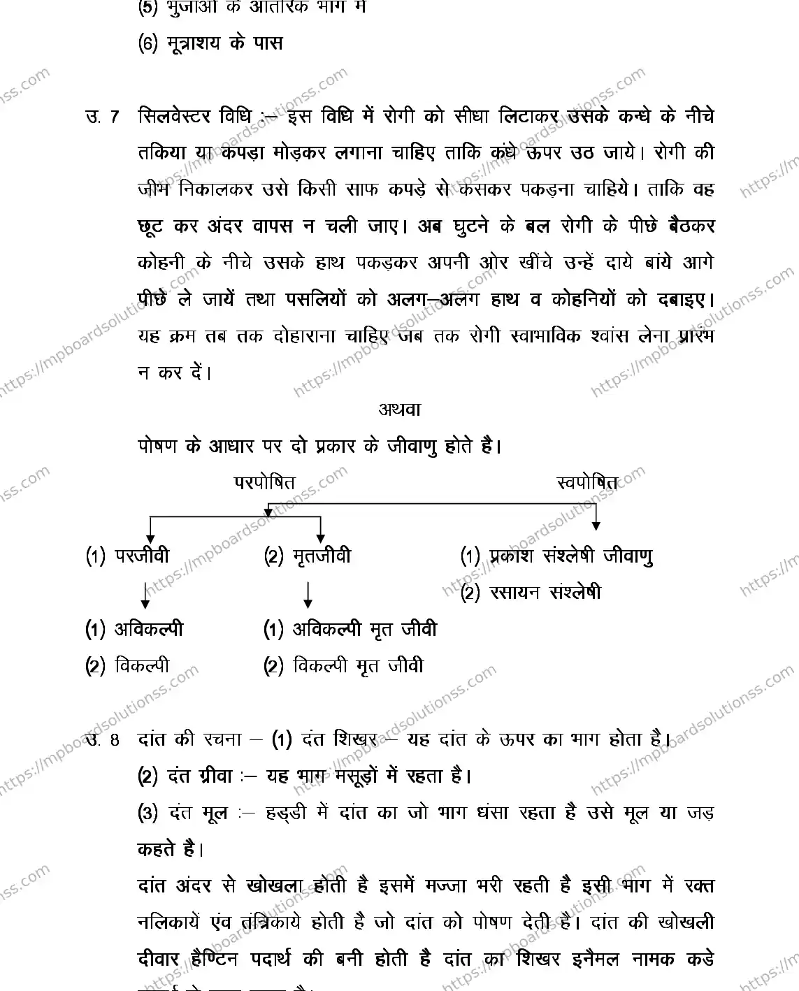 MP Board Class 12 MOTHER-CRAFT-356574 2018 Sample Paper Image 10
