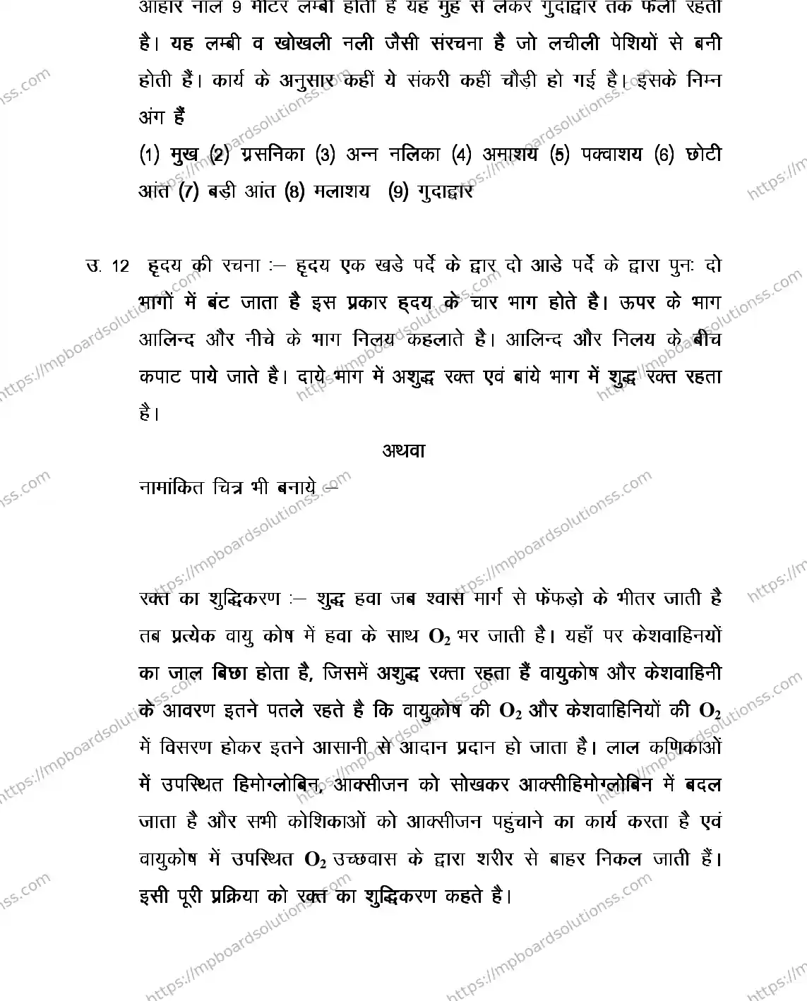 MP Board Class 12 MOTHER-CRAFT-356574 2018 Sample Paper Image 13