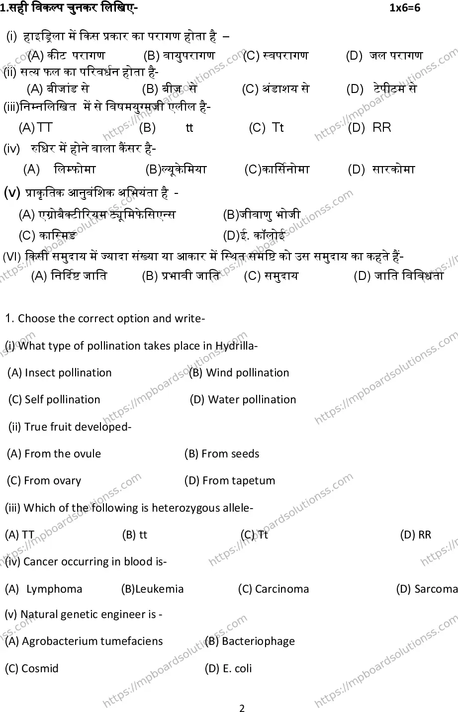 MP Board Class 12 Biology 2024 Sample Paper Image 2
