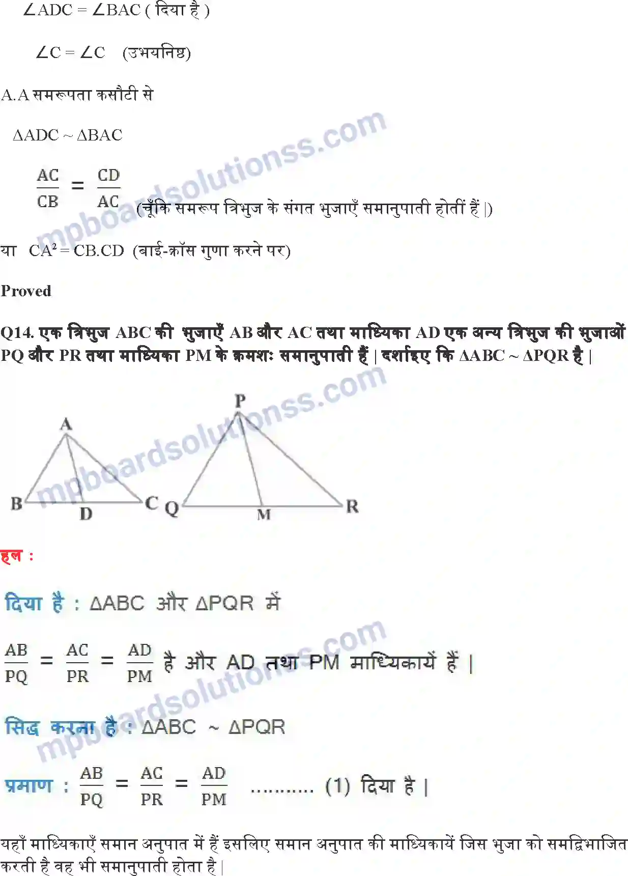 MP Board Book for Class 10 Maths त्रिभुज Image 30