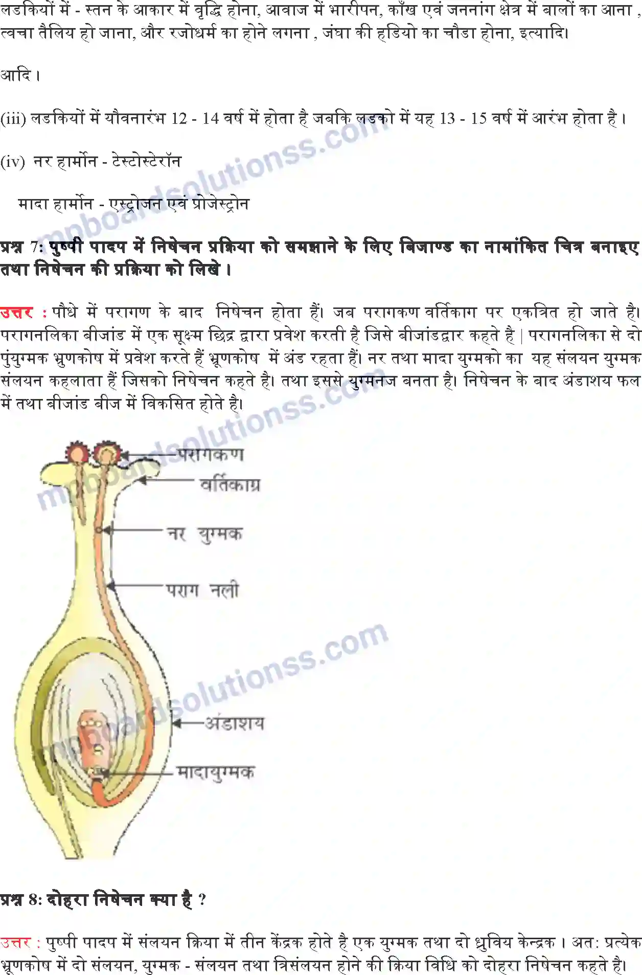 MP Board Book for Class 10 Science जीव जनन कैसे करते हैं Image 8