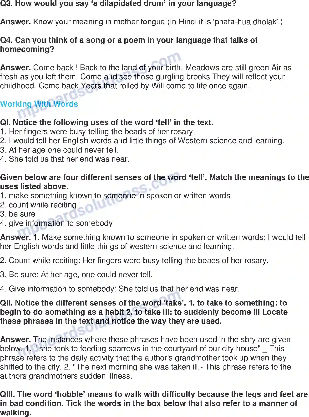 MP Board Book for Class 11 English The Portrait of lady Image 4