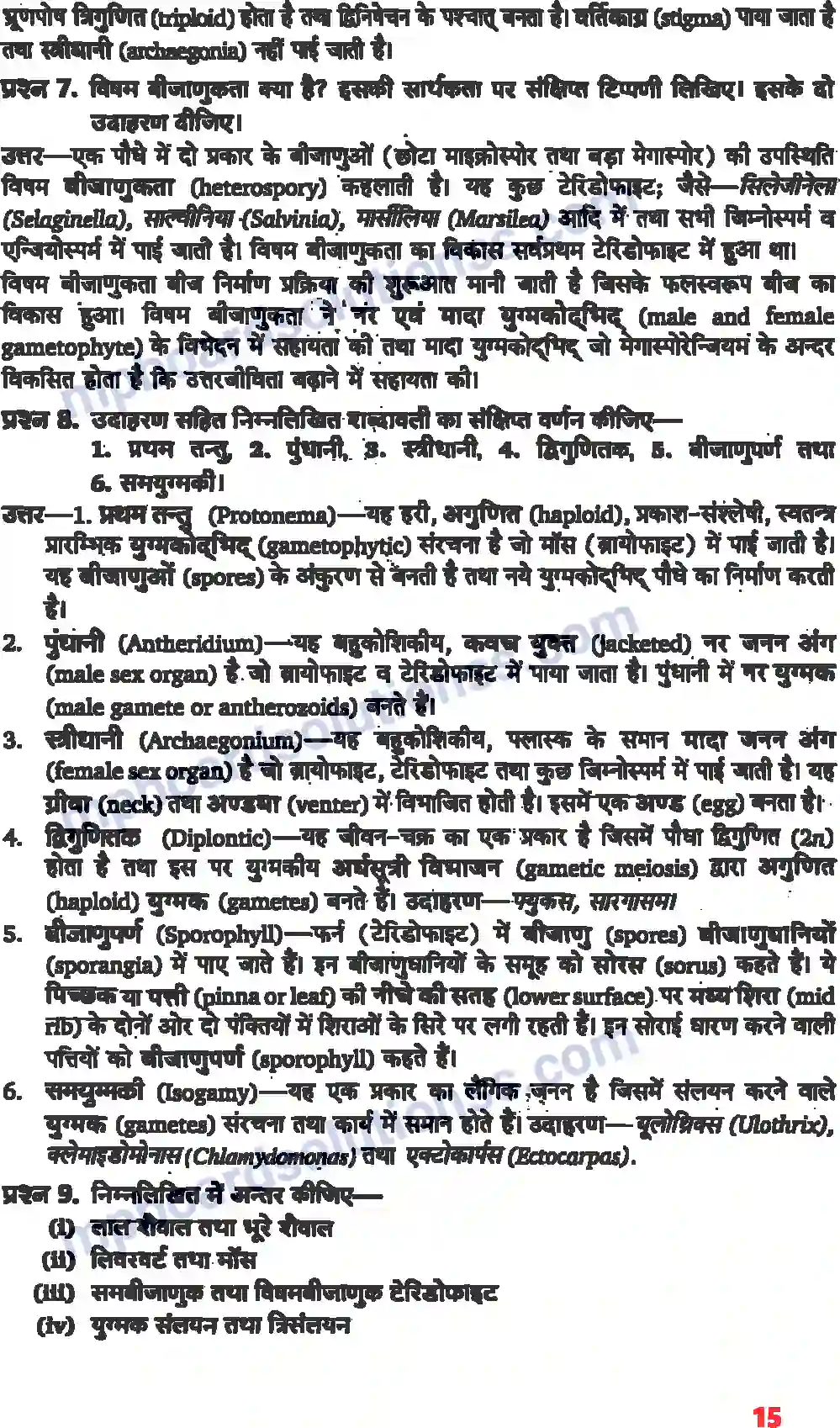 MP Board Book for Class 11 Biology वनस्पति जगत Image 4