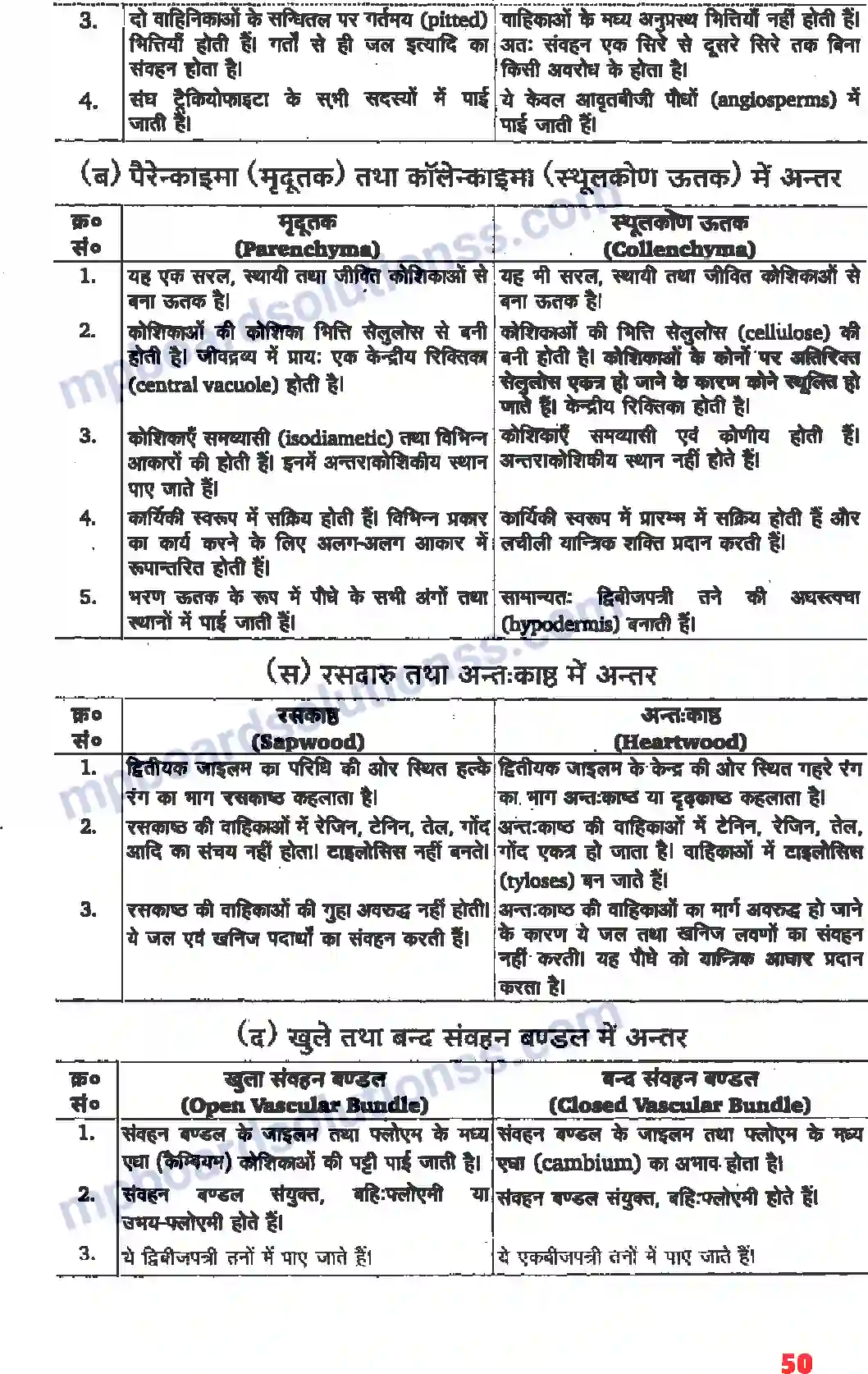 MP Board Book for Class 11 Biology पुष्पी पादपों का शारीर Image 4