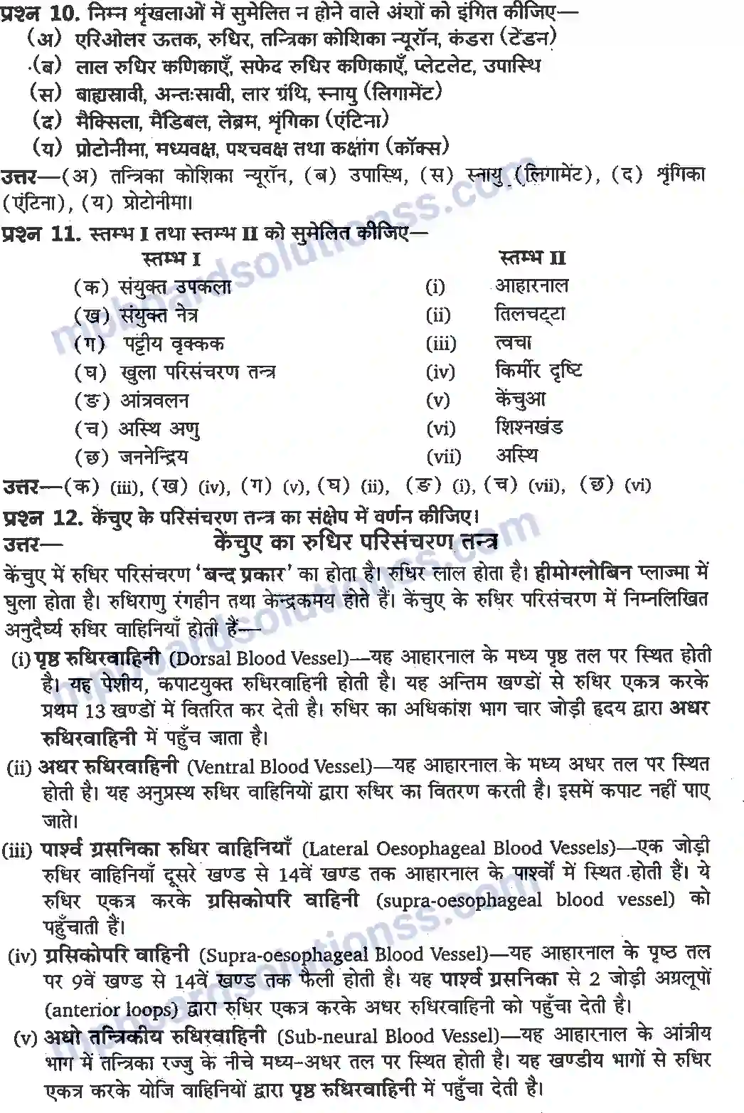 MP Board Book for Class 11 Biology प्राणियों में संरचनात्मक संगठन Image 10