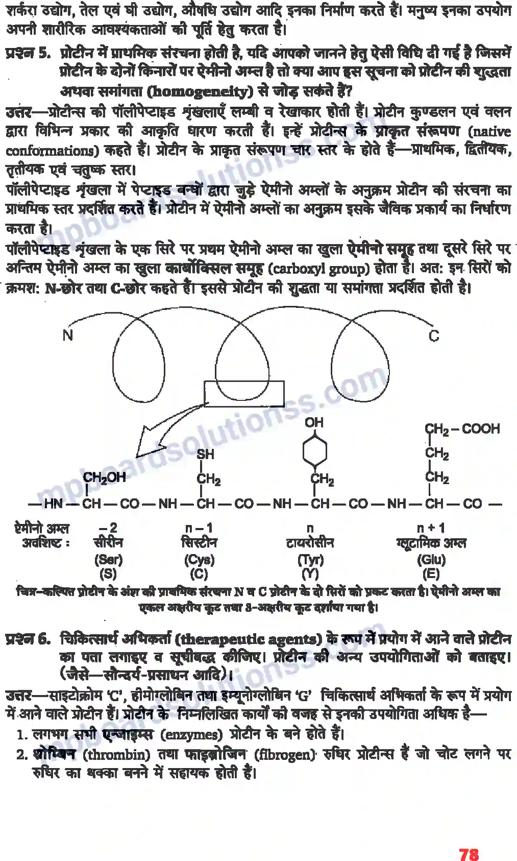 MP Board Book for Class 11 Biology जैव अणु Image 3
