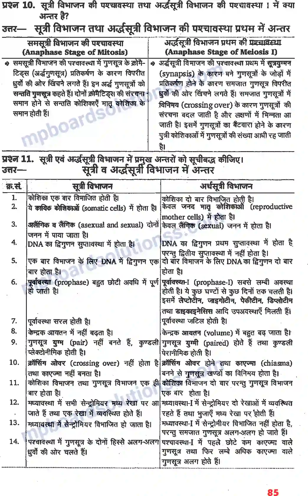 MP Board Book for Class 11 Biology कोशिका चक्र और कोशिका विभाजन Image 3