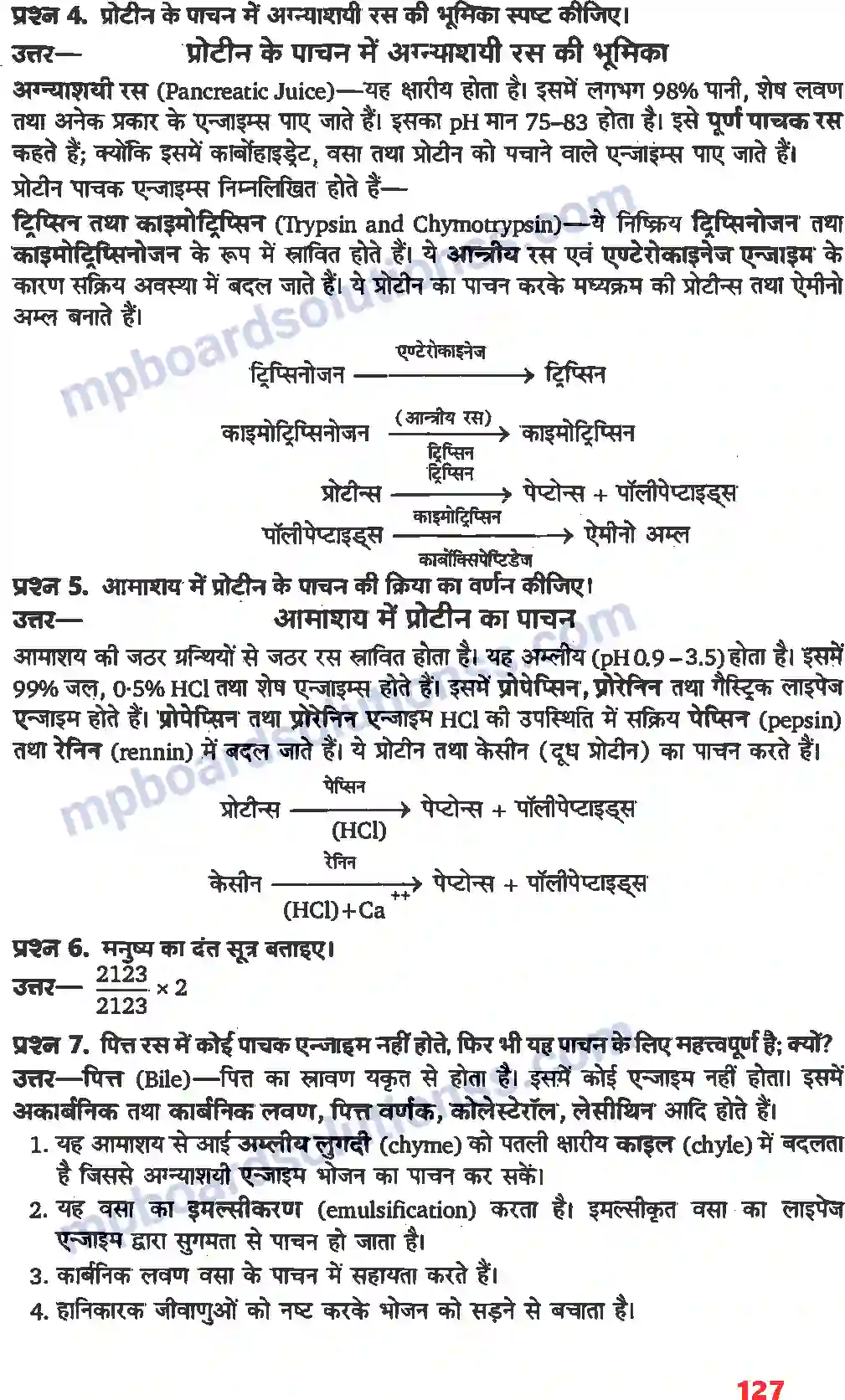 MP Board Book for Class 11 Biology पाचन एवं अवशोषण Image 2