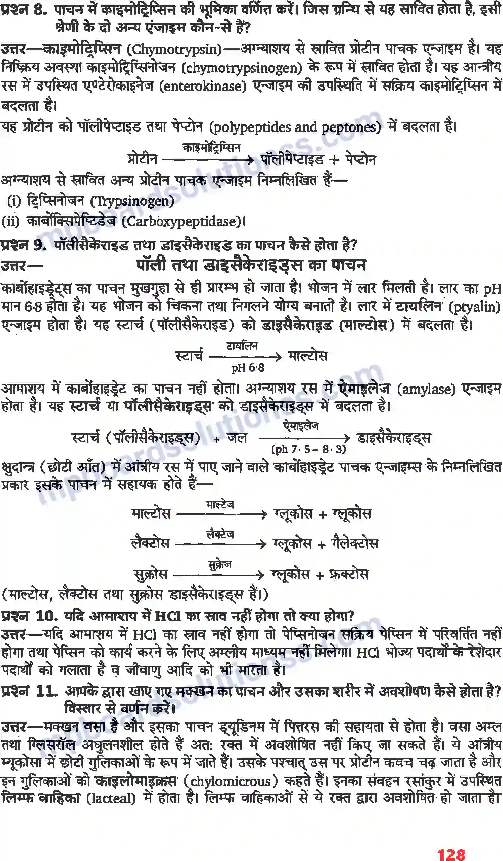 MP Board Book for Class 11 Biology पाचन एवं अवशोषण Image 3