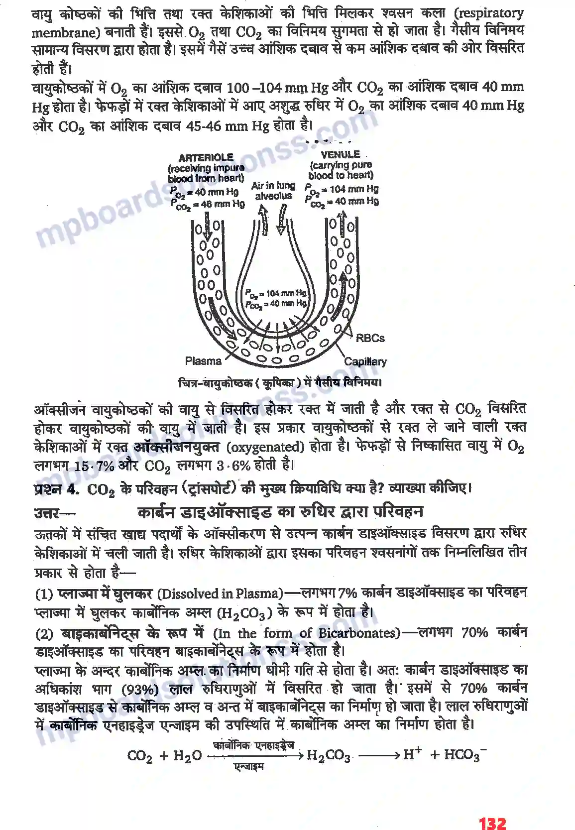 MP Board Book for Class 11 Biology श्वसन और गैसों का विनिमय Image 2