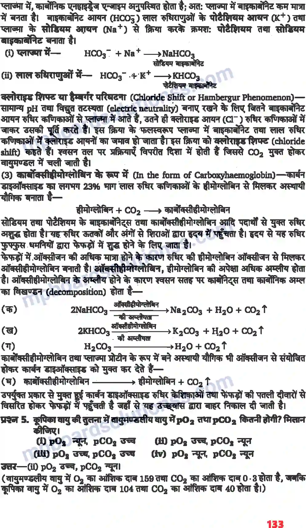 MP Board Book for Class 11 Biology श्वसन और गैसों का विनिमय Image 3