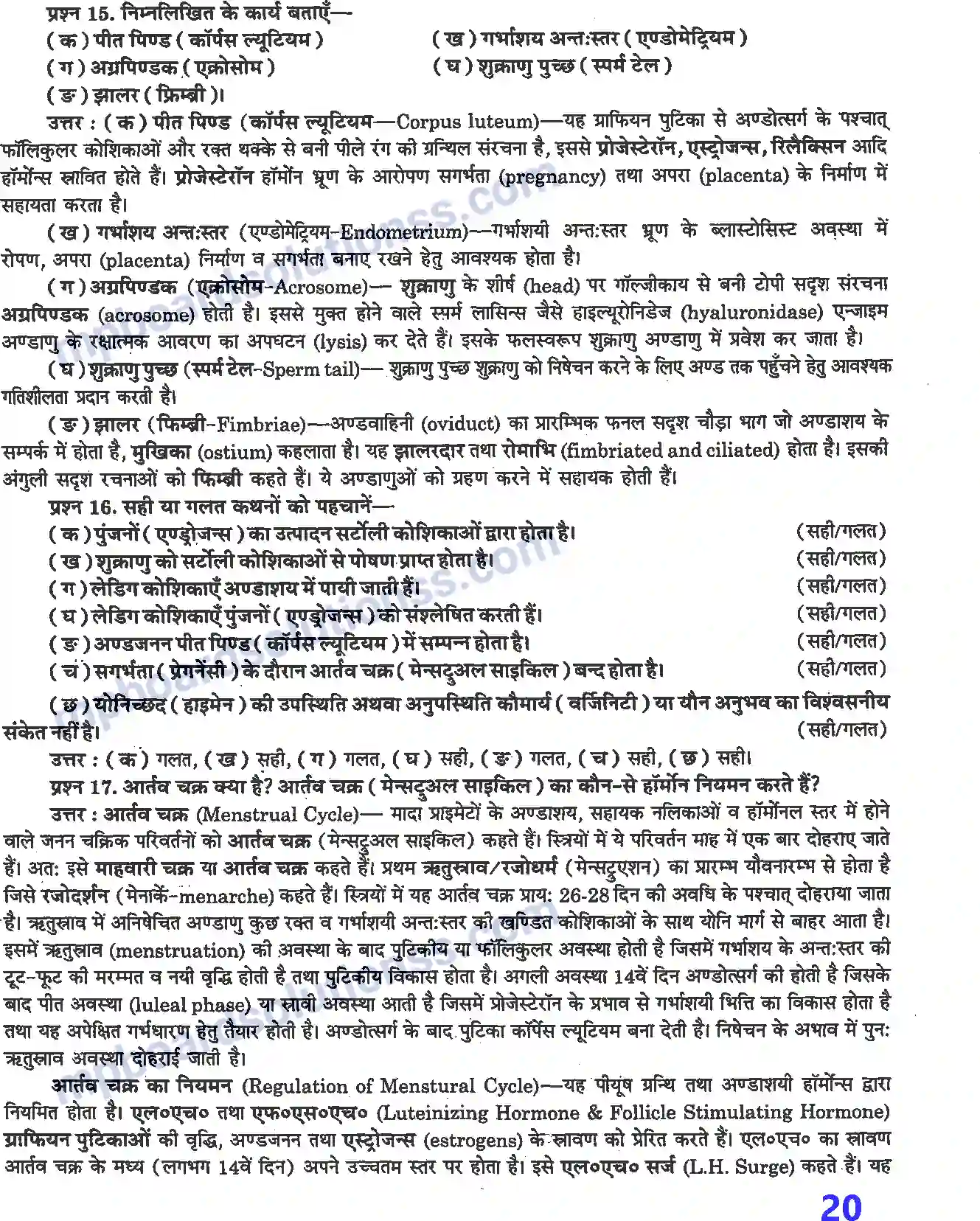 MP Board Book for Class 12 Biology मानव जनन Image 7