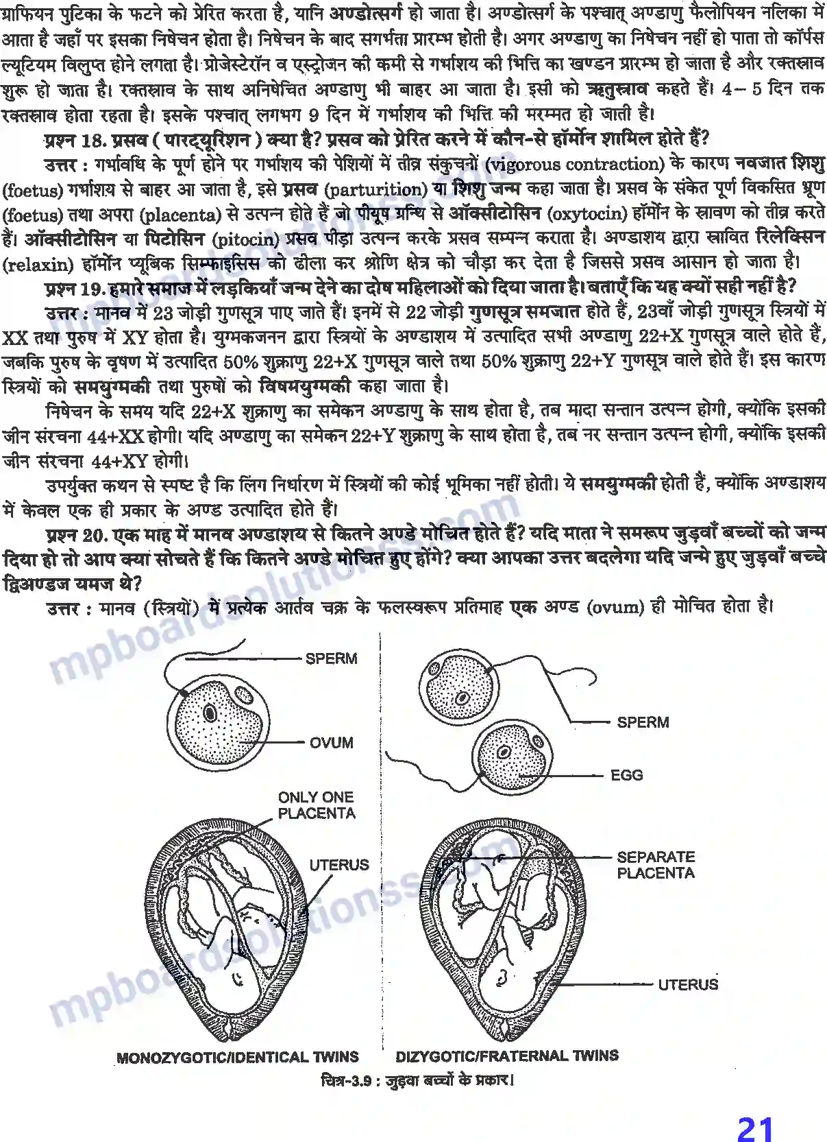 MP Board Book for Class 12 Biology मानव जनन Image 8