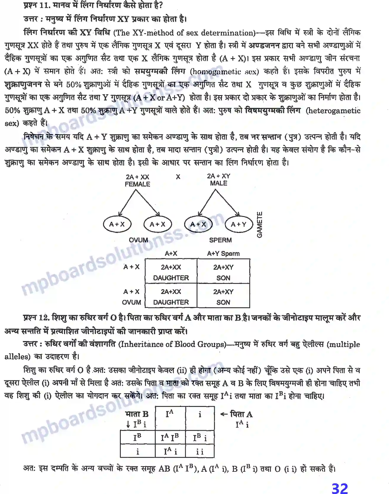 MP Board Book for Class 12 Biology वंशागति तथा विविधता के सिद्धांत Image 6