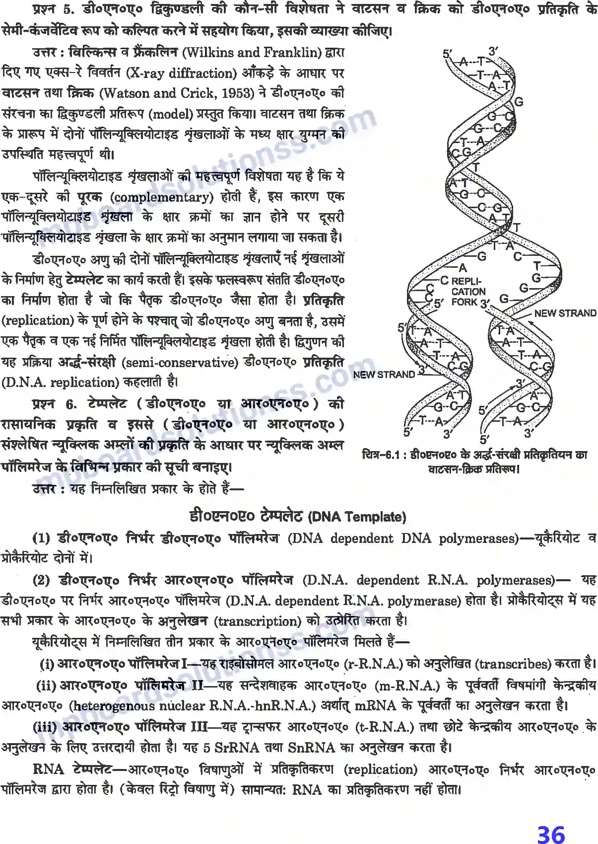 MP Board Book for Class 12 Biology वंशागति के आण्विक आधार Image 2