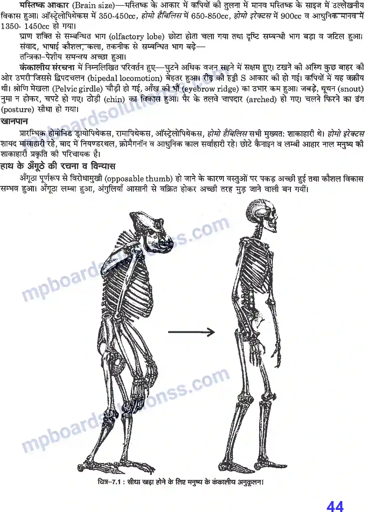 MP Board Book for Class 12 Biology विकास Image 2