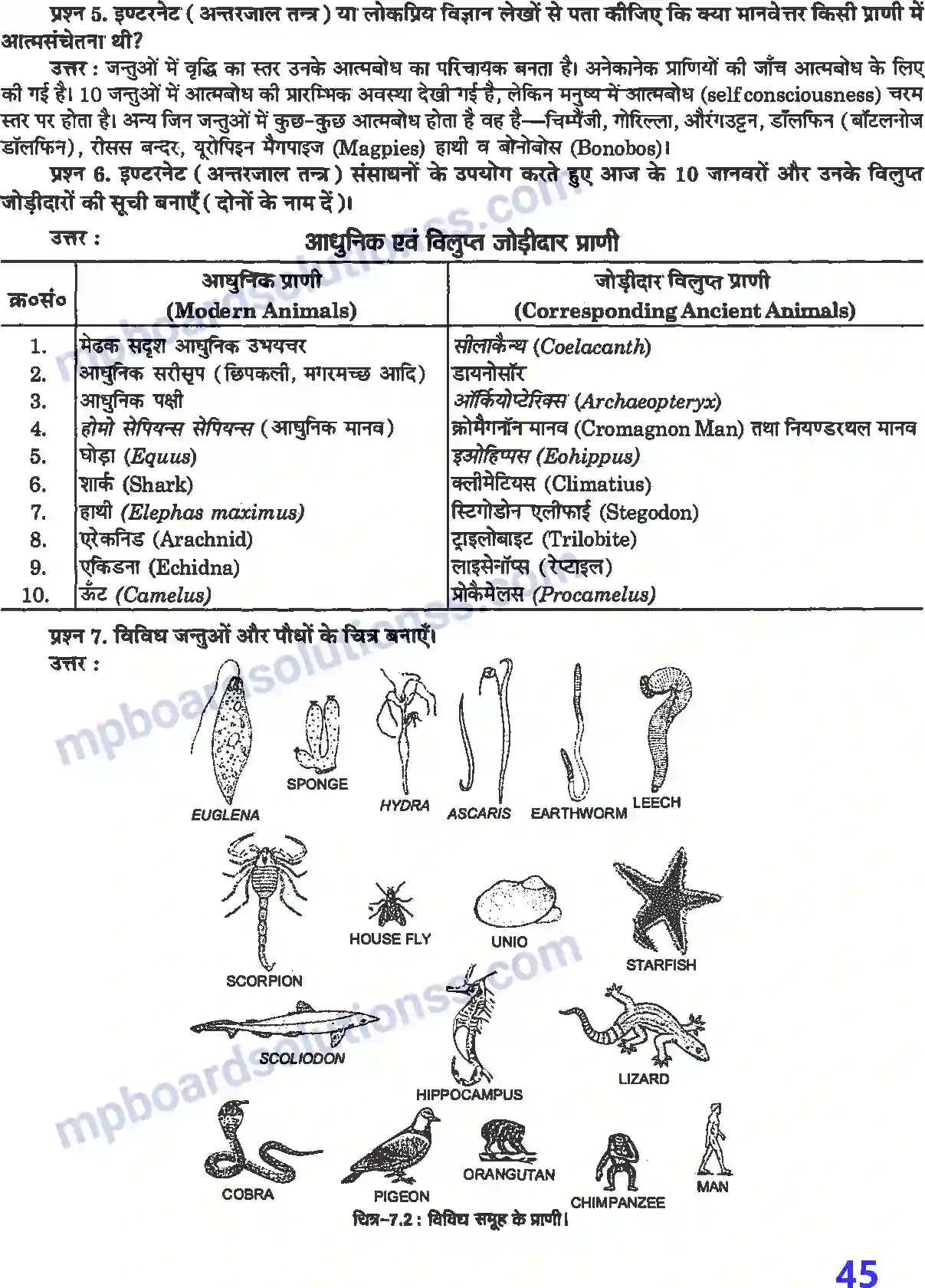 MP Board Book for Class 12 Biology विकास Image 3