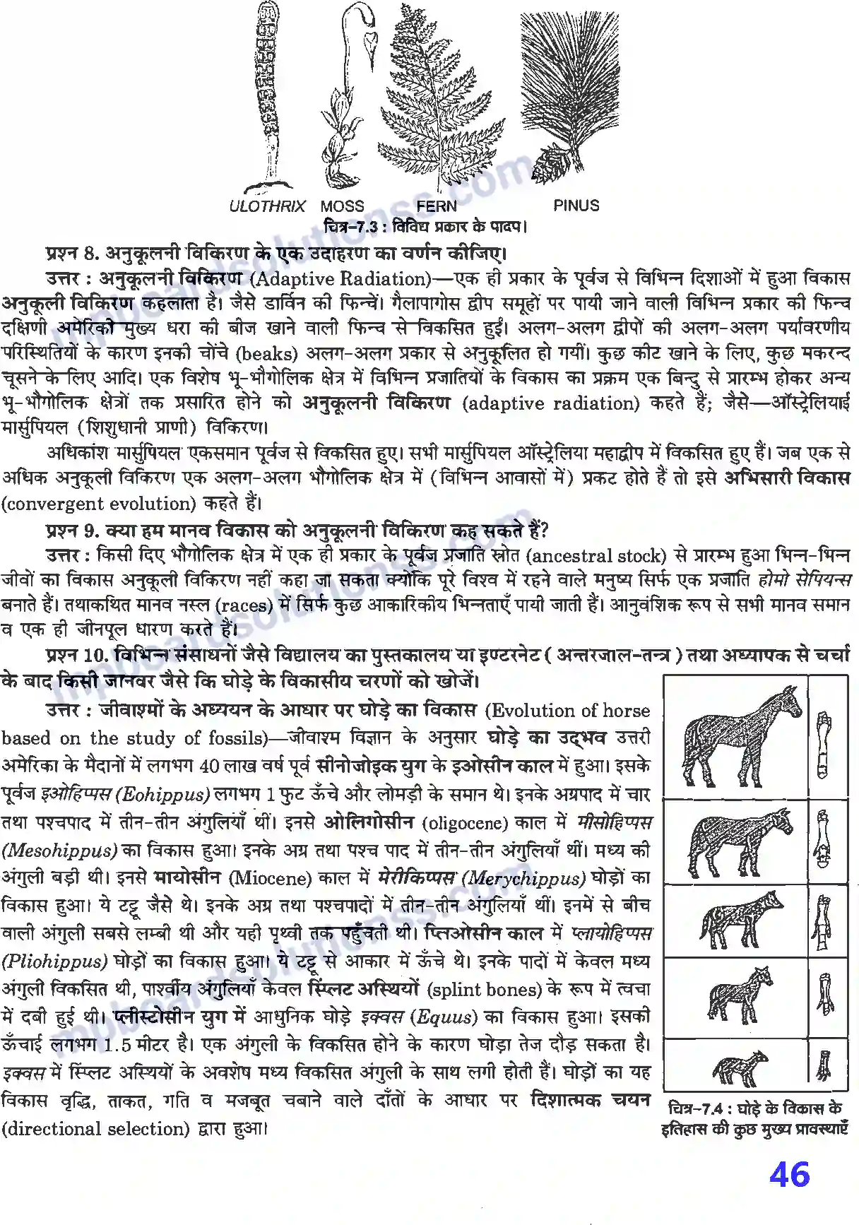 MP Board Book for Class 12 Biology विकास Image 4