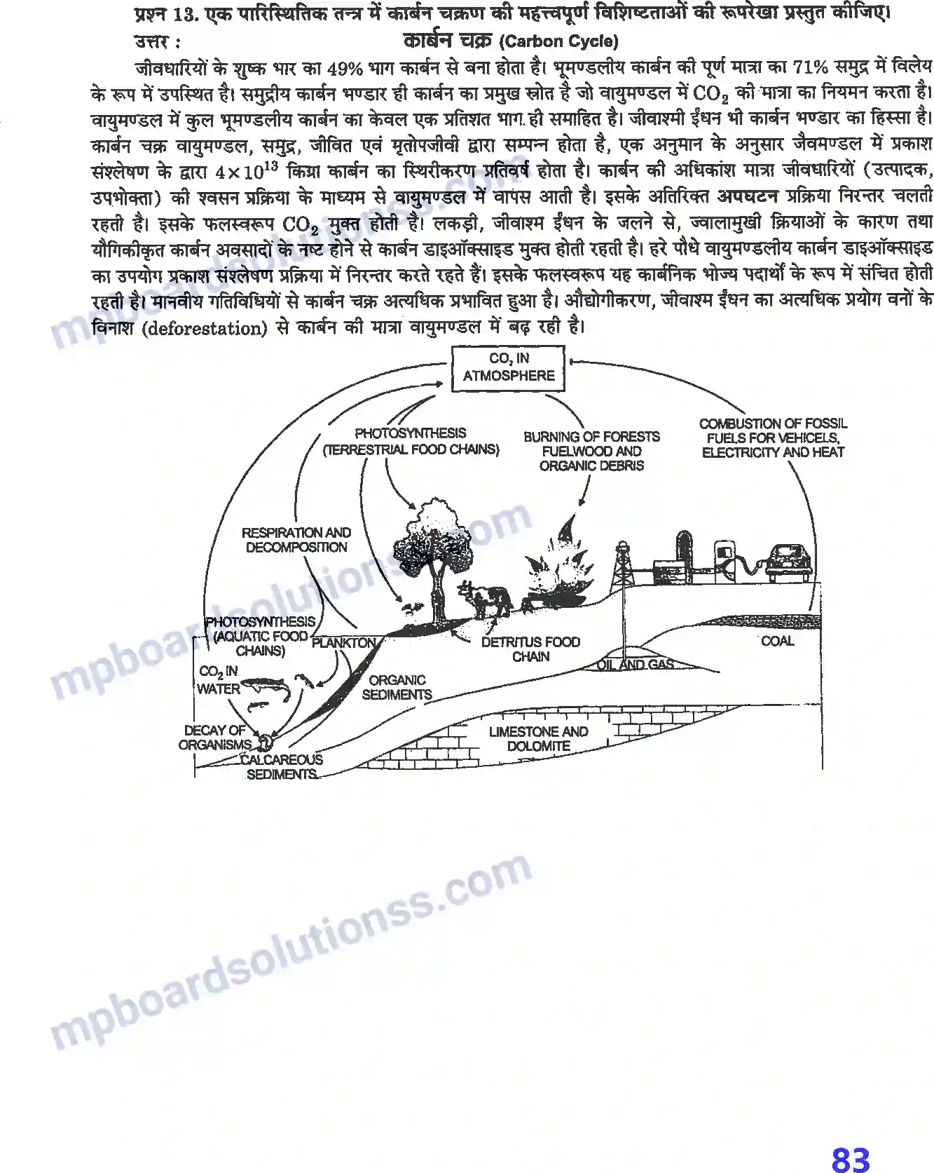 MP Board Book for Class 12 Biology पारितंत्र Image 7