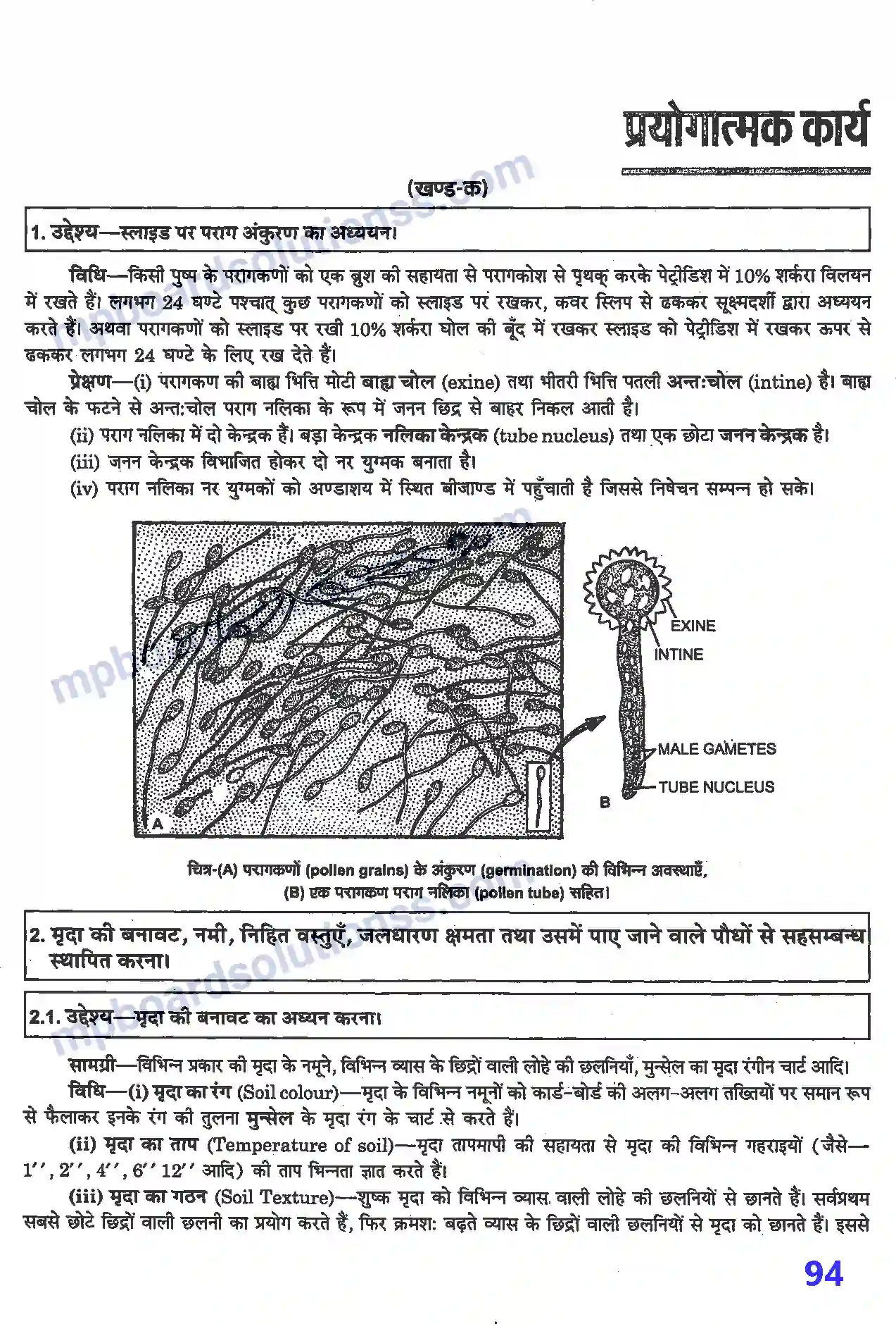 MP Board Book for Class 12 Biology प्रयोगात्मक एवं प्रोजेक्ट कार्य Image 1
