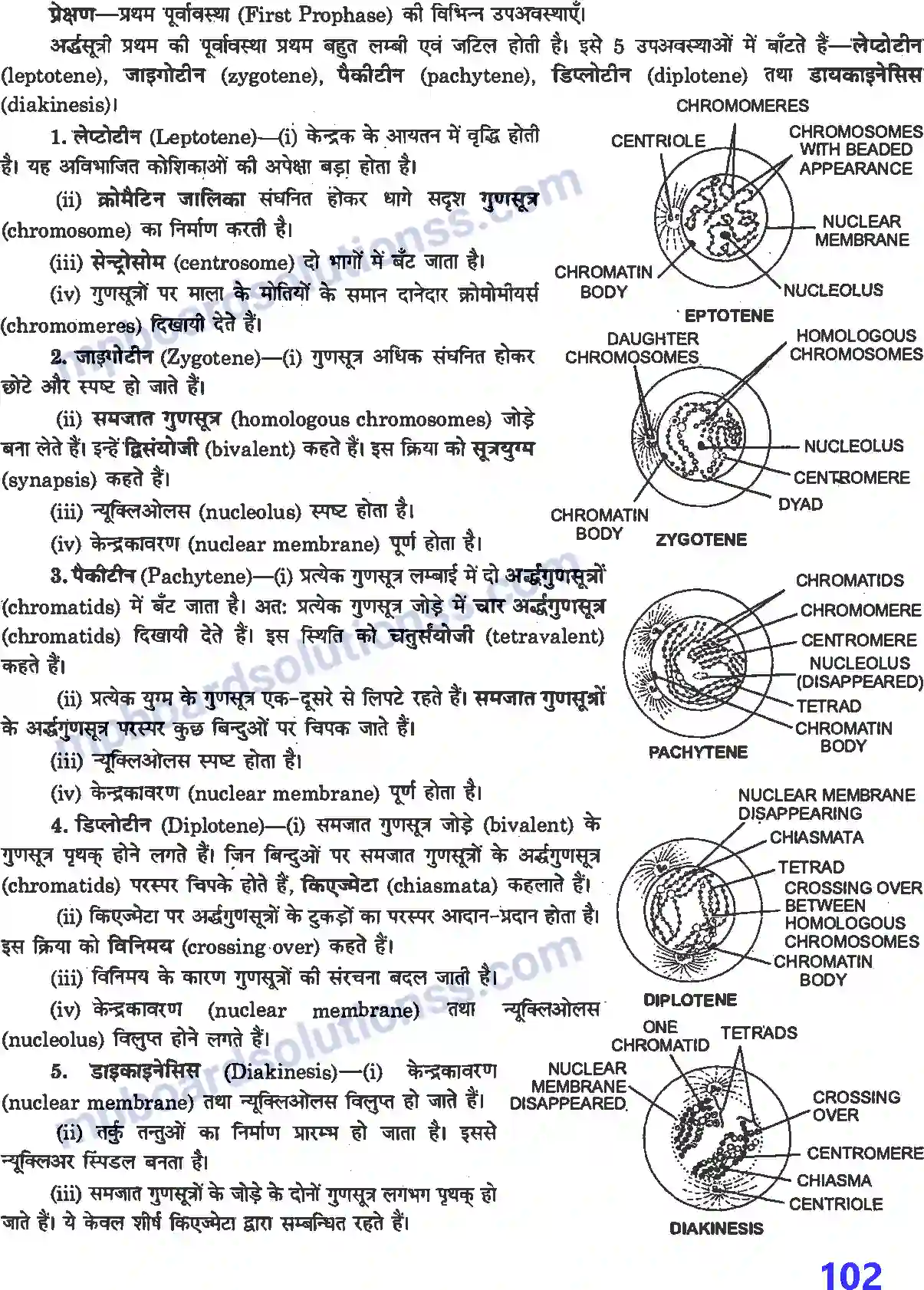 MP Board Book for Class 12 Biology प्रयोगात्मक एवं प्रोजेक्ट कार्य Image 9