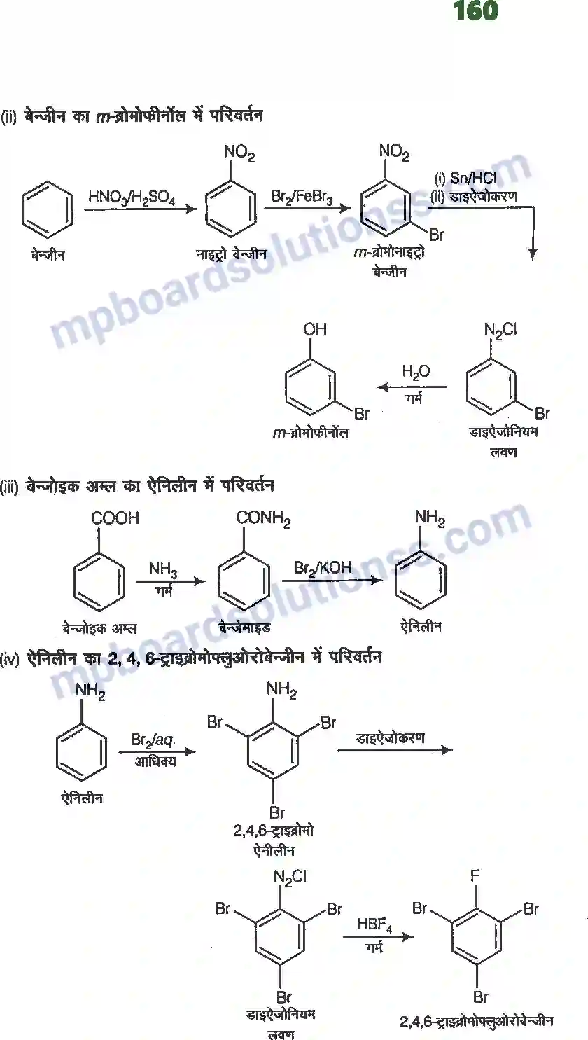 MP Board Book for Class 12 Chemistry ऐमीन Image 18