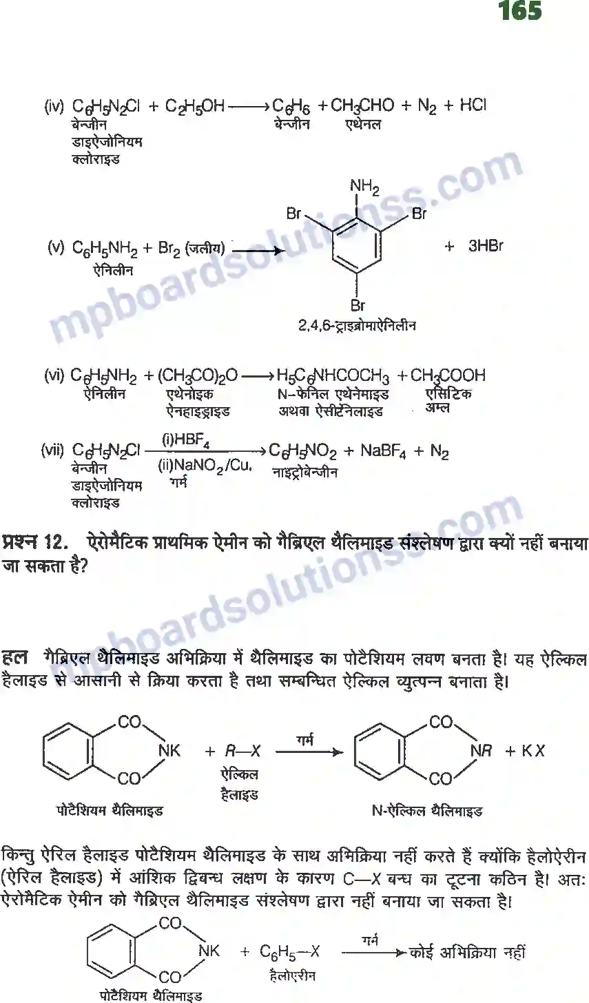 MP Board Book for Class 12 Chemistry ऐमीन Image 23