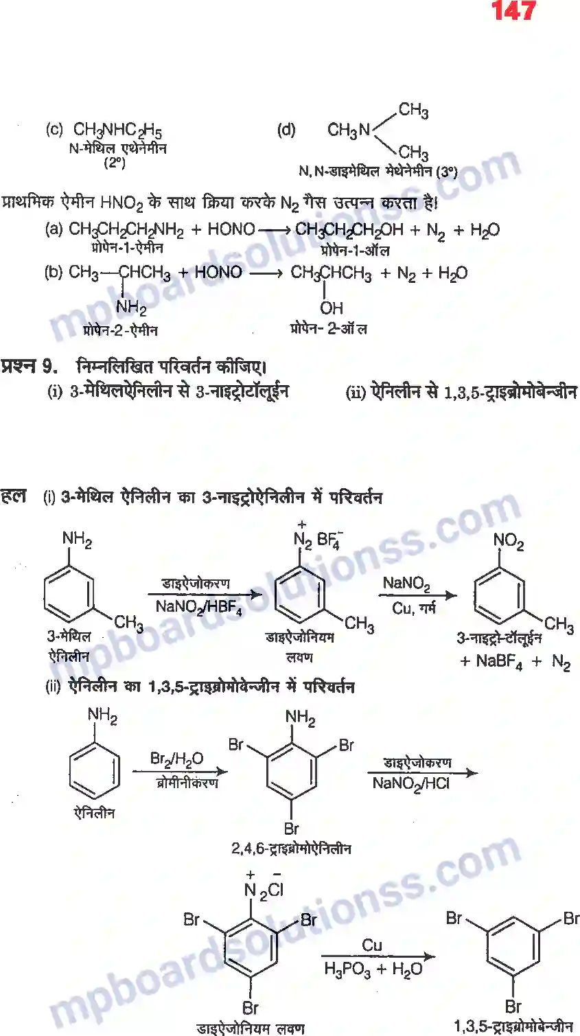 MP Board Book for Class 12 Chemistry ऐमीन Image 5