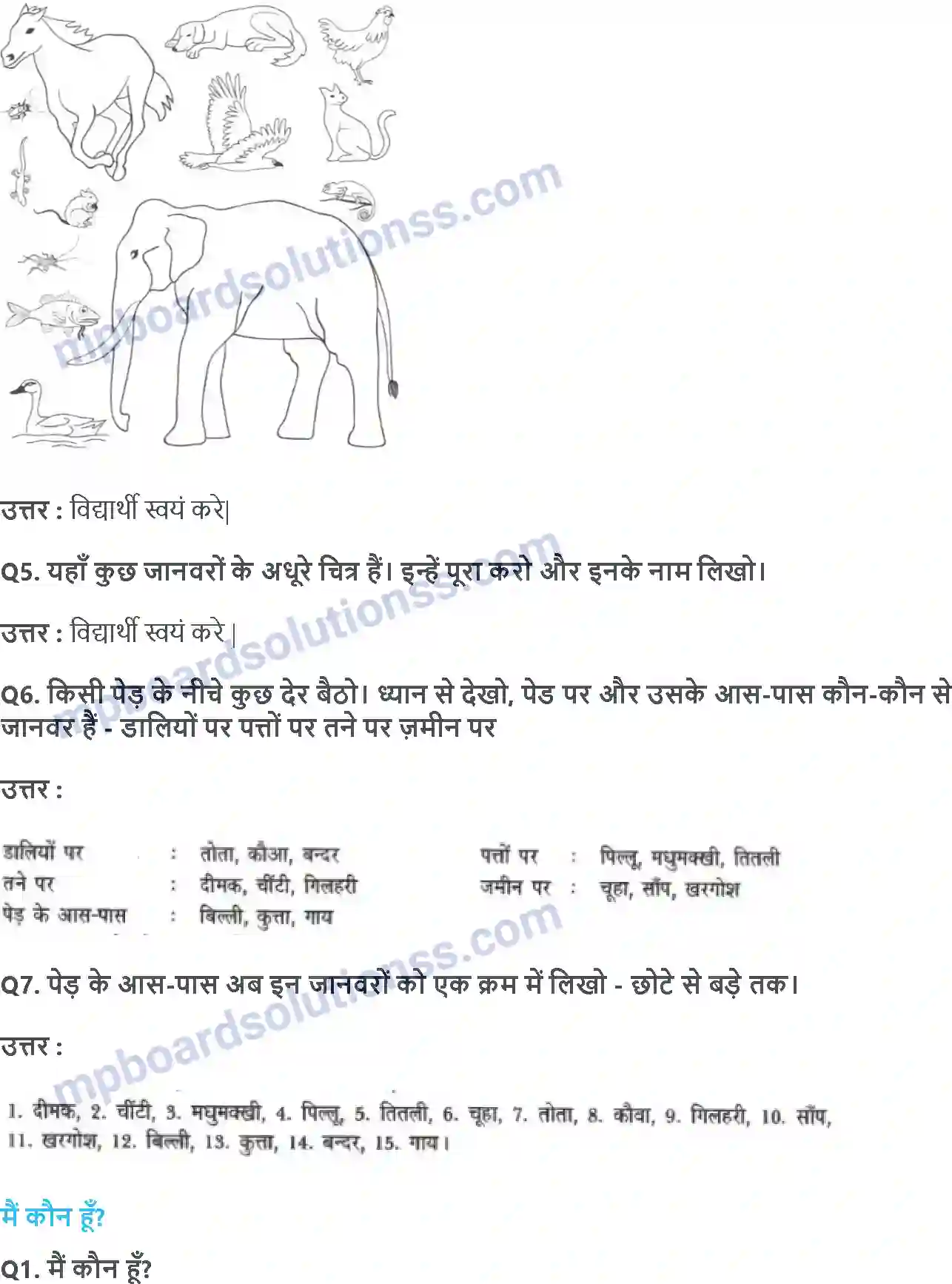 MP Board Book for Class 3 EVS डाल-डाल पर, ताल-ताल पर Image 2