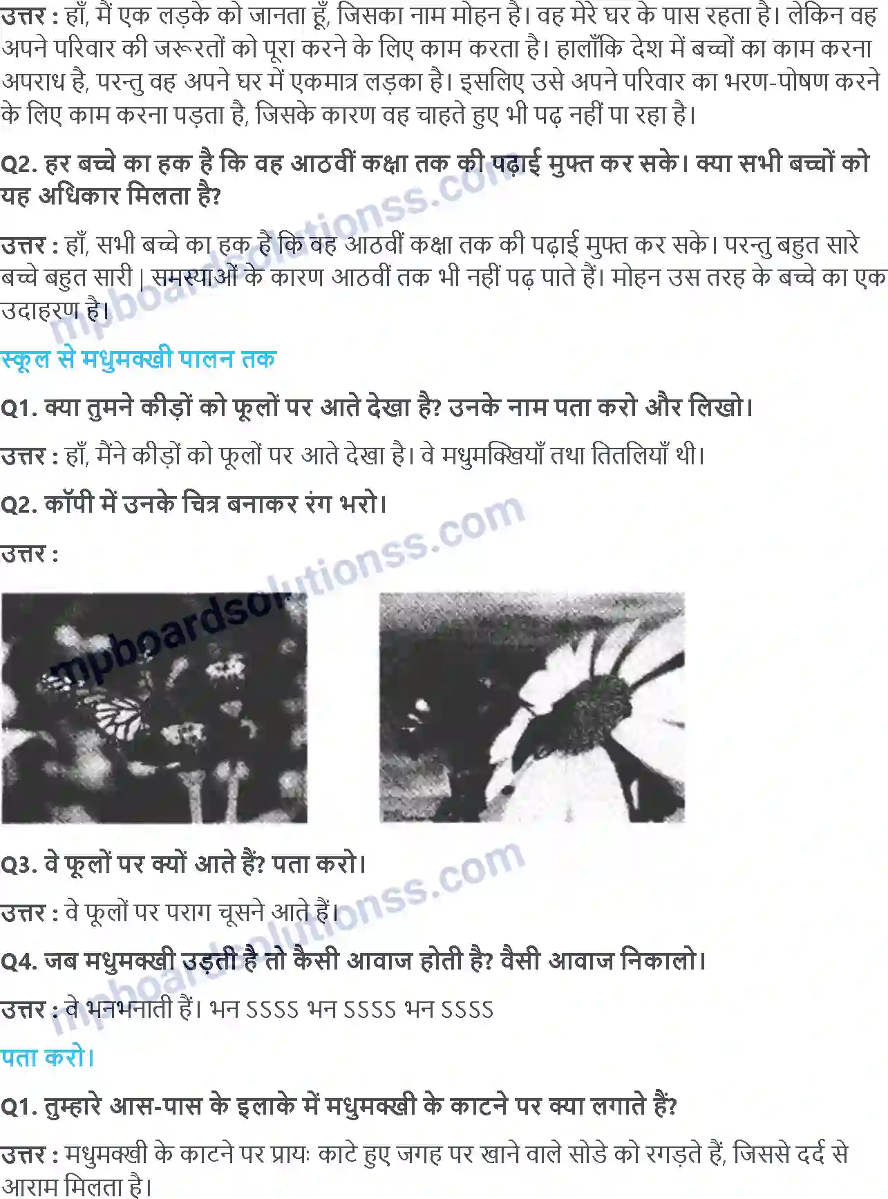 MP Board Book for Class 4 EVS अनिता कि मधुमक्खियां Image 2