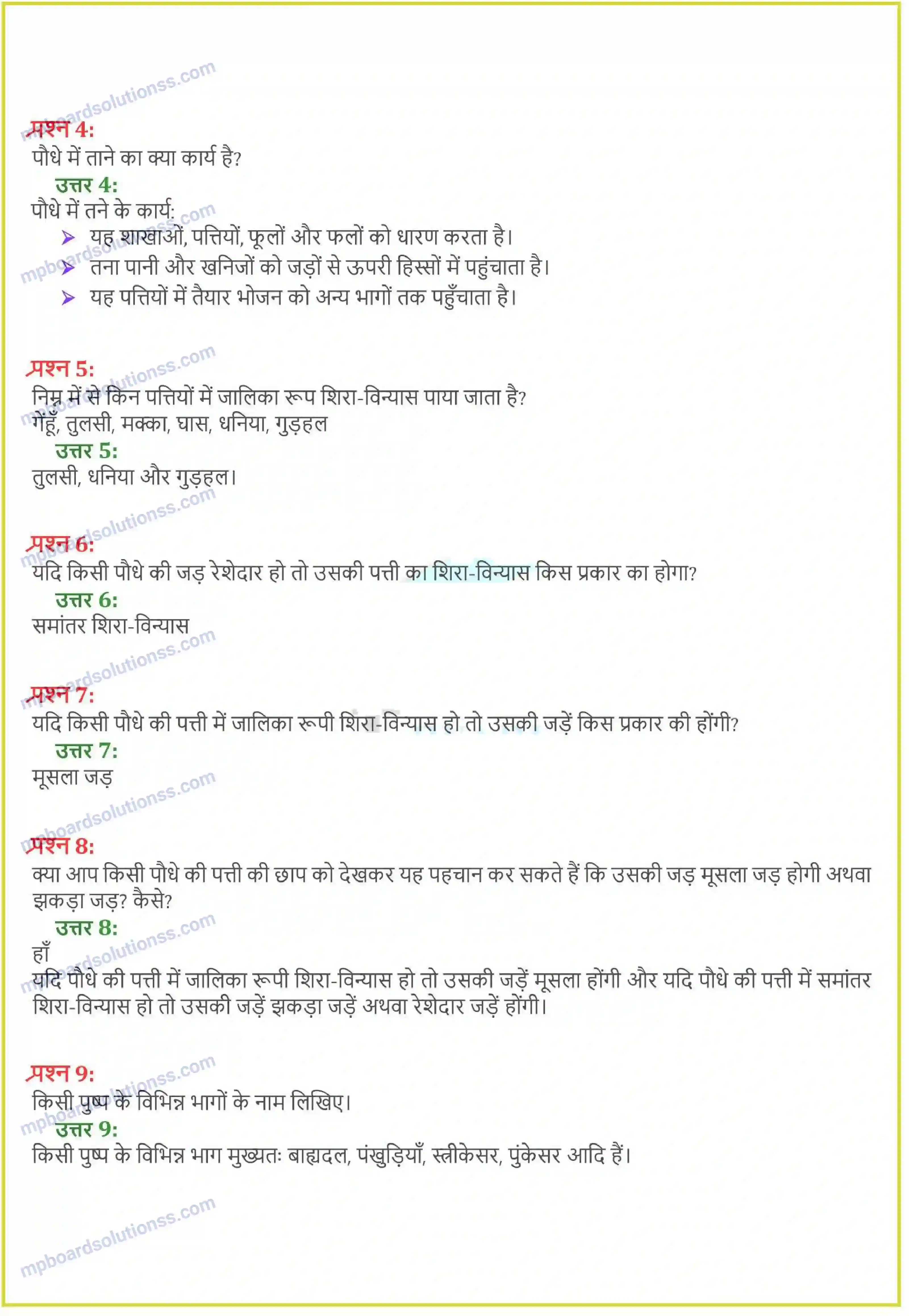 MP Board Book for Class 6 Science पौधो को जानिए Image 2