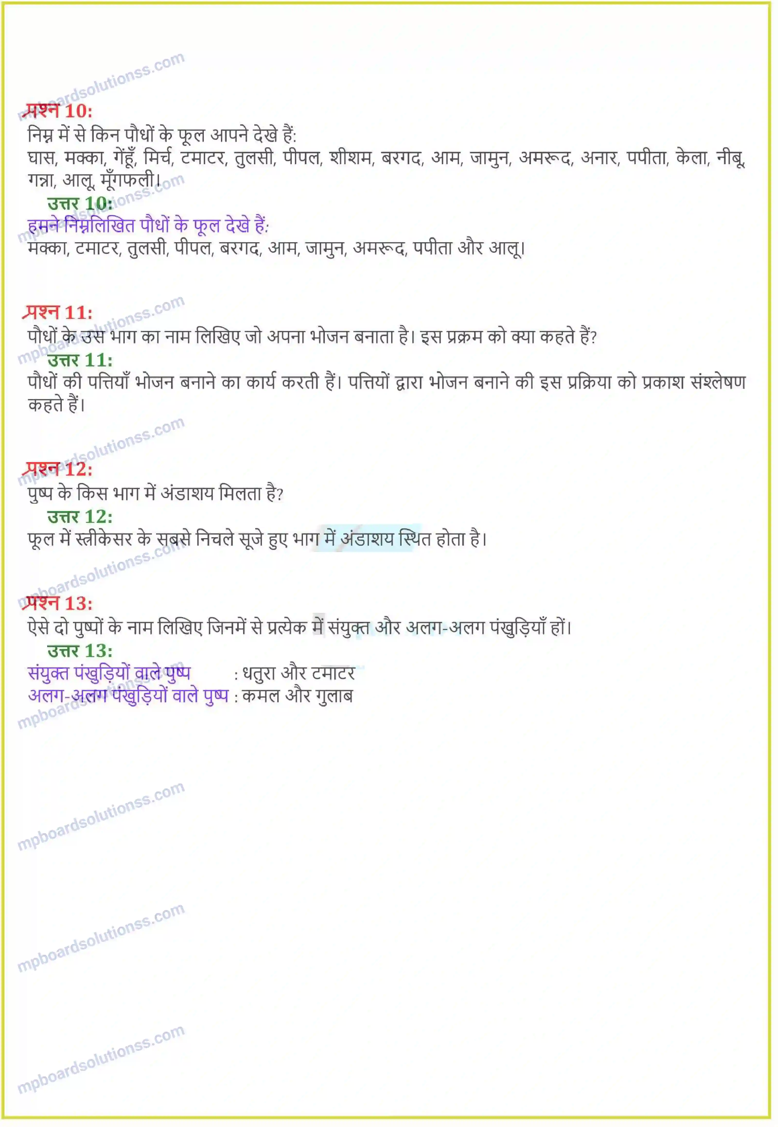 MP Board Book for Class 6 Science पौधो को जानिए Image 3