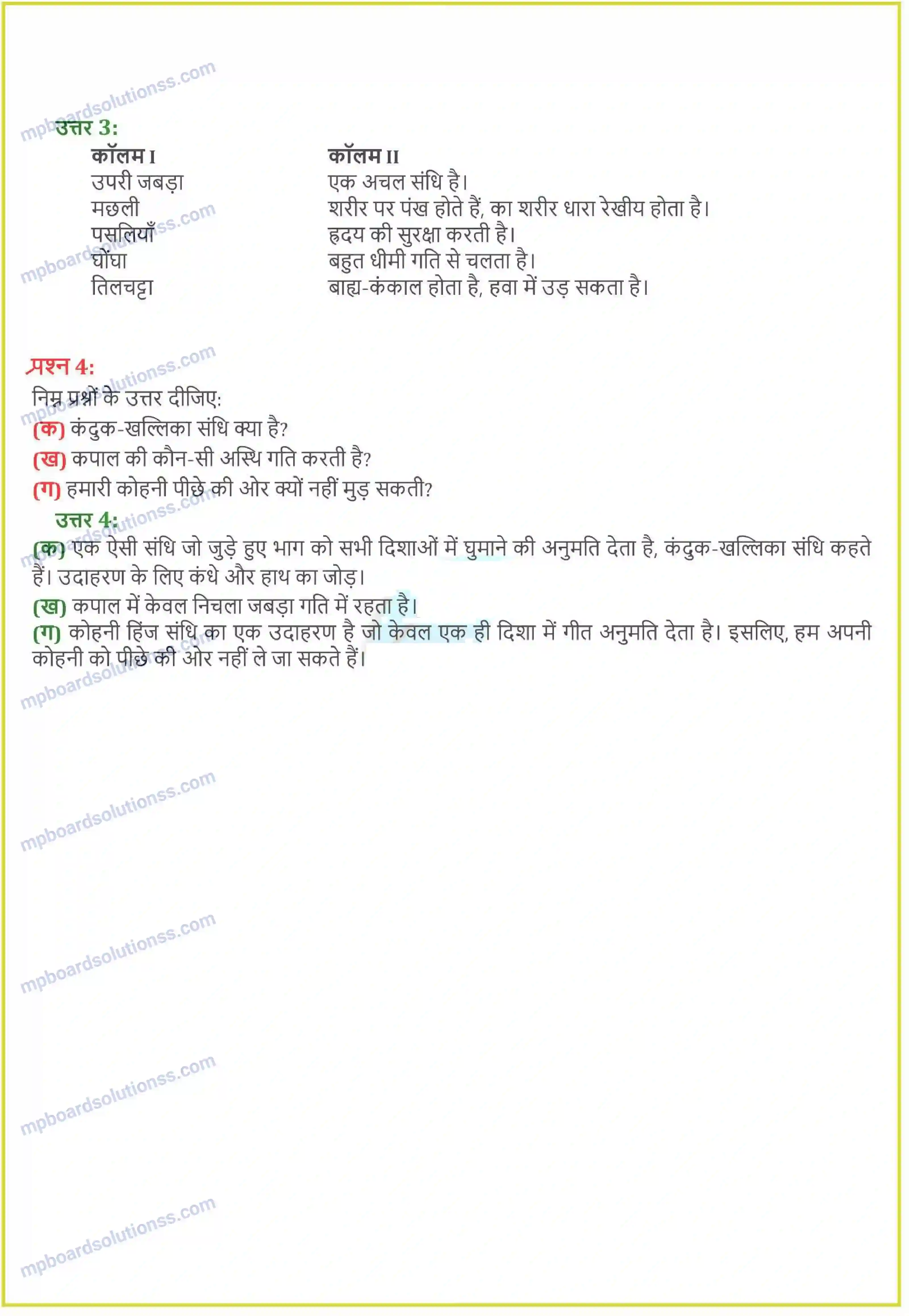 MP Board Book for Class 6 Science शरीर में गति Image 2