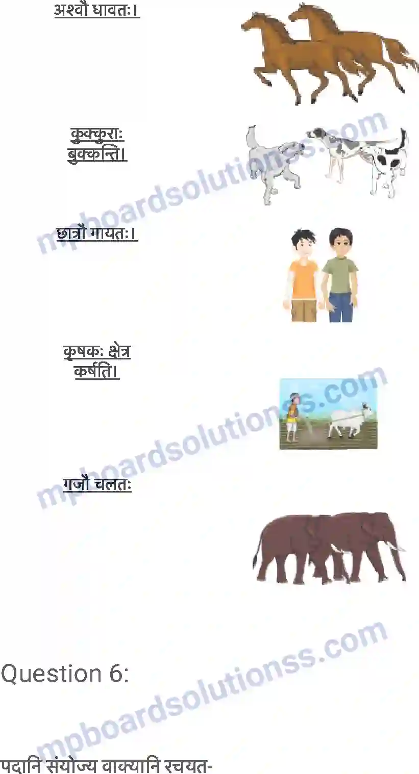 MP Board Book for Class 6 Sanskrit शब्द परिचयः 1 Image 8