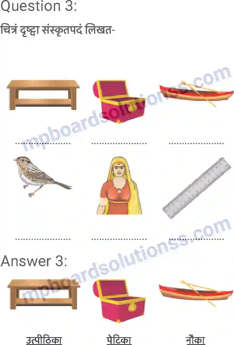 MP Board Book for Class 6 Sanskrit शब्द परिचयः 2 Image 5