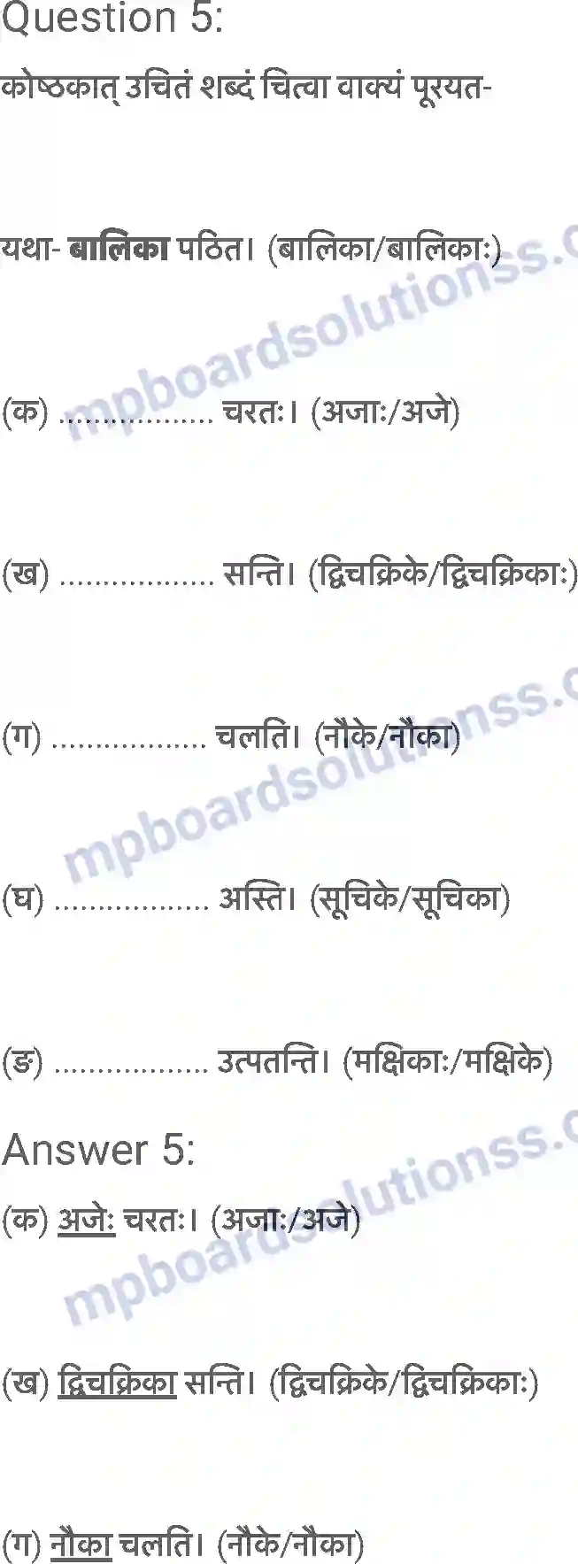 MP Board Book for Class 6 Sanskrit शब्द परिचयः 2 Image 7