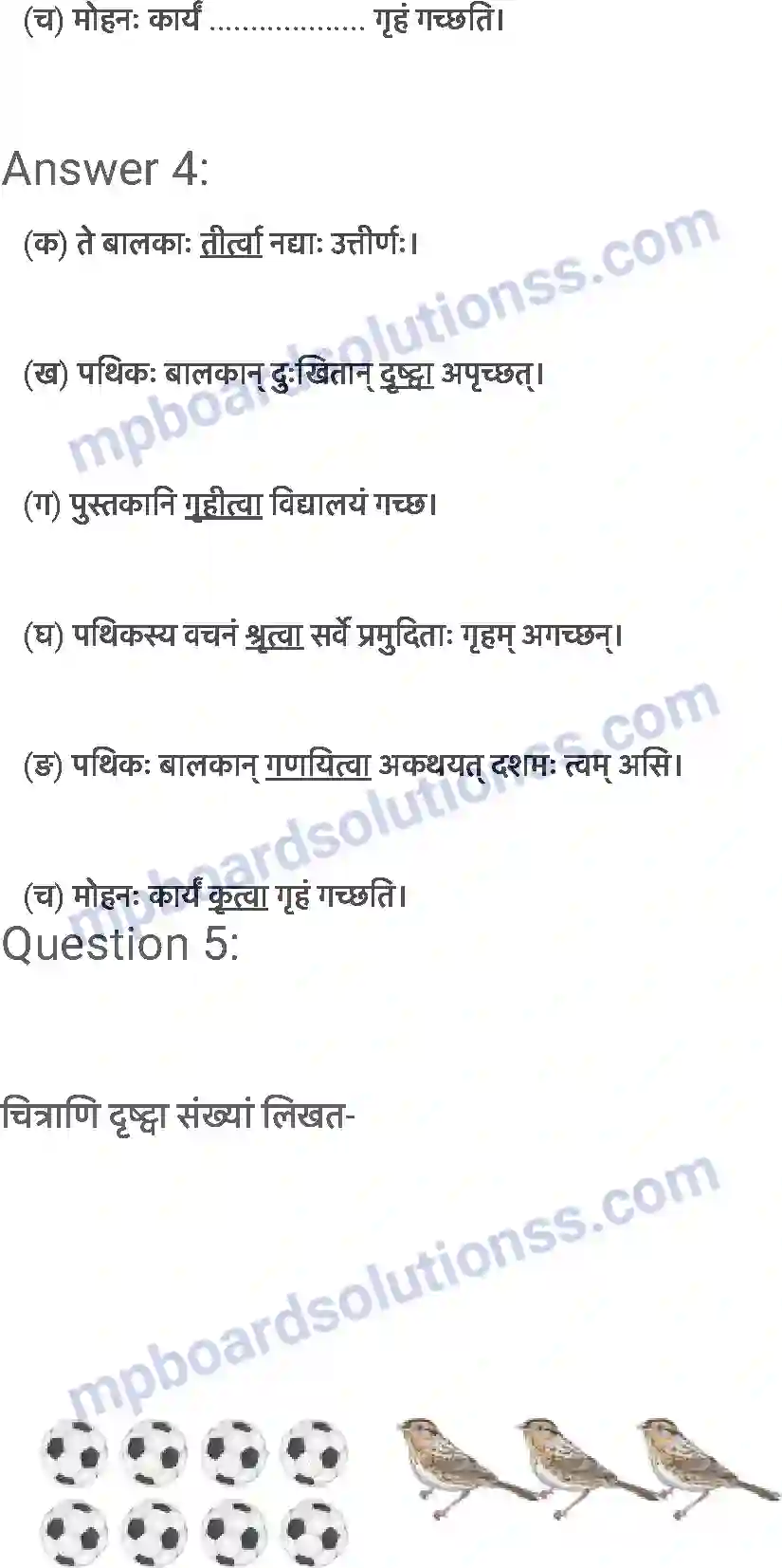 MP Board Book for Class 6 Sanskrit दशमः त्वम असि Image 7