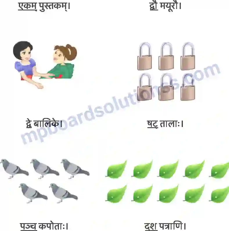 MP Board Book for Class 6 Sanskrit दशमः त्वम असि Image 9