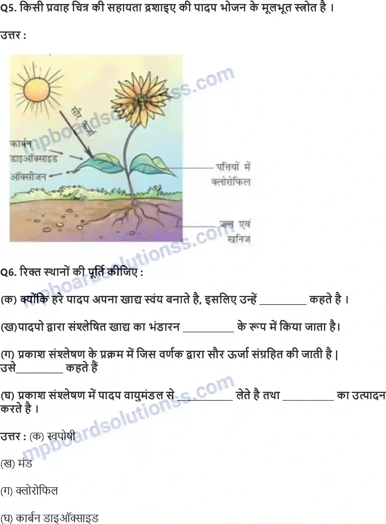 MP Board Book for Class 7 Science पादपों में पोषण Image 2