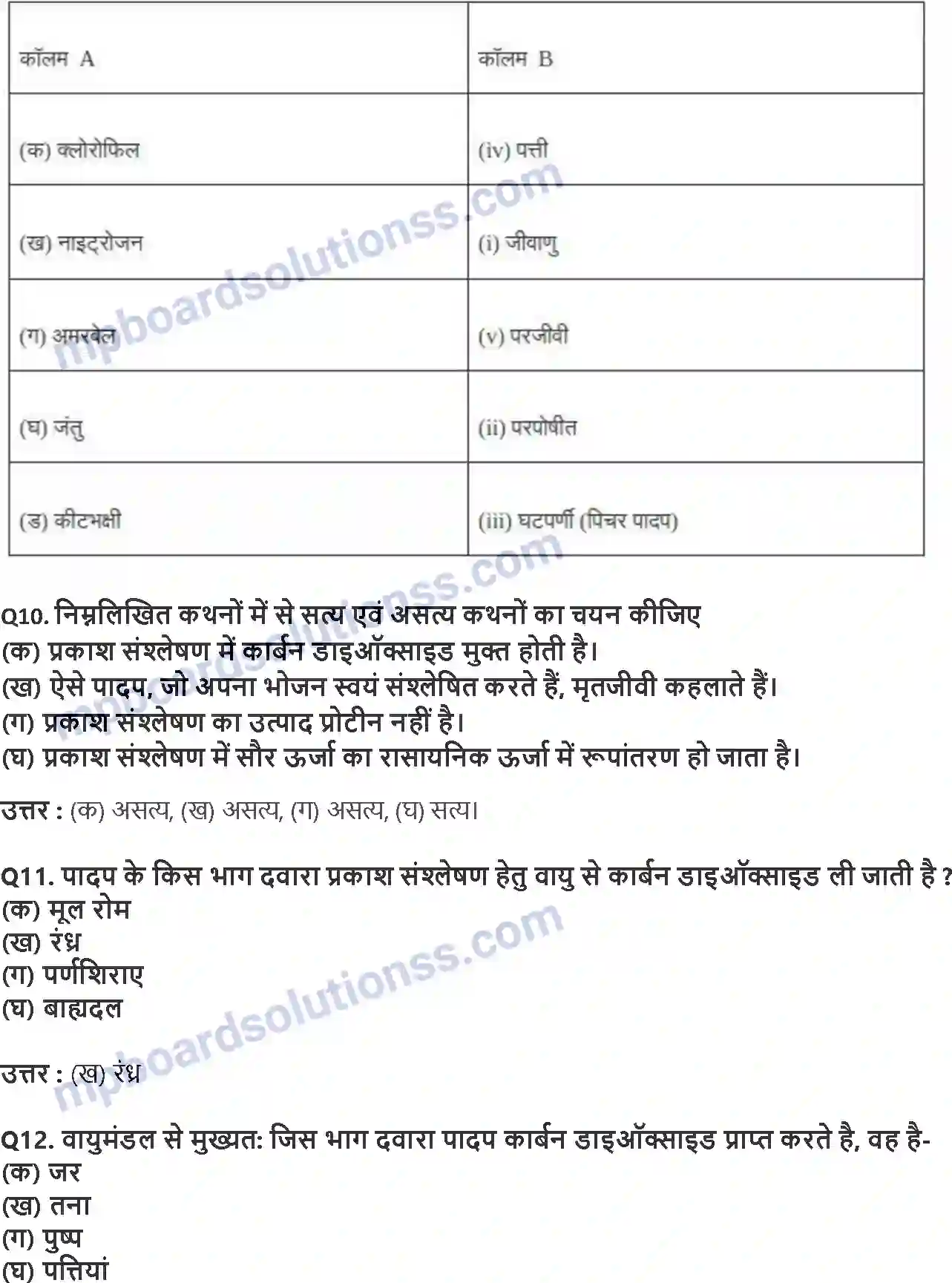 MP Board Book for Class 7 Science पादपों में पोषण Image 4