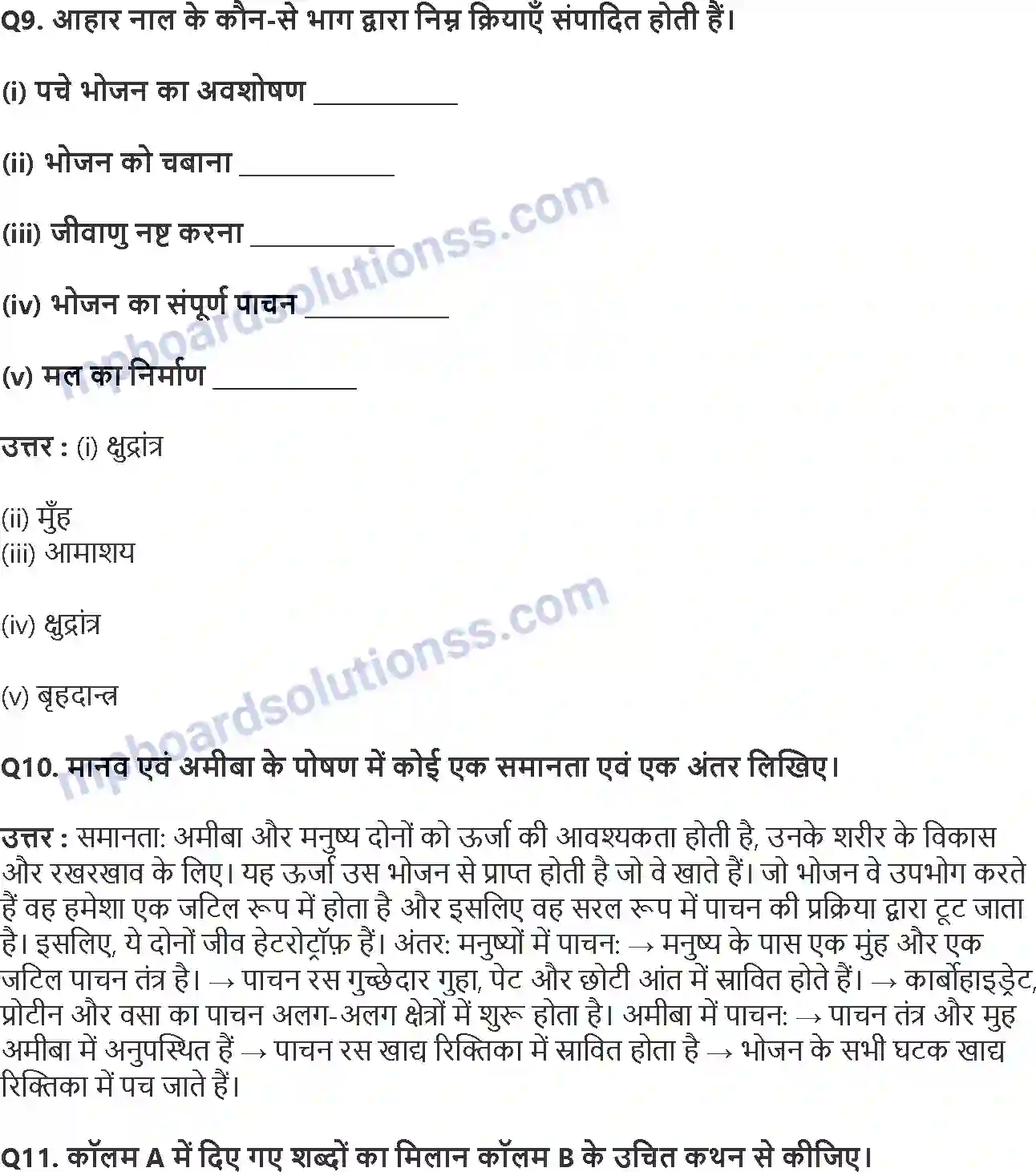 MP Board Book for Class 7 Science प्राणियों में पोषण Image 4