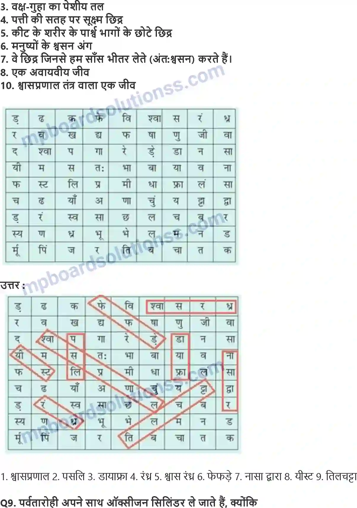 MP Board Book for Class 7 Science जीवों में श्वसन Image 5